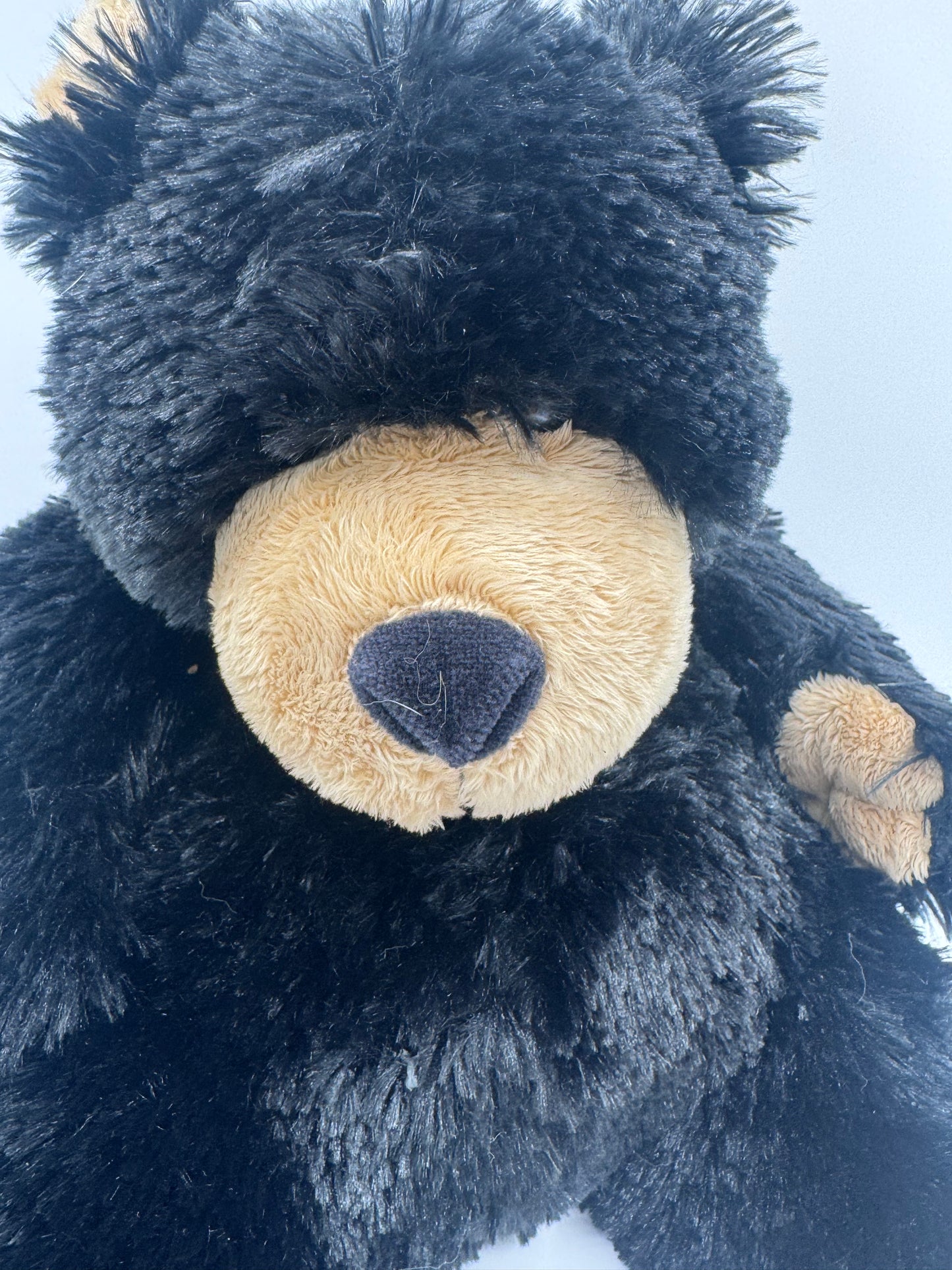 Boyds Bears and Friends 2005 Black Teddy Bear
