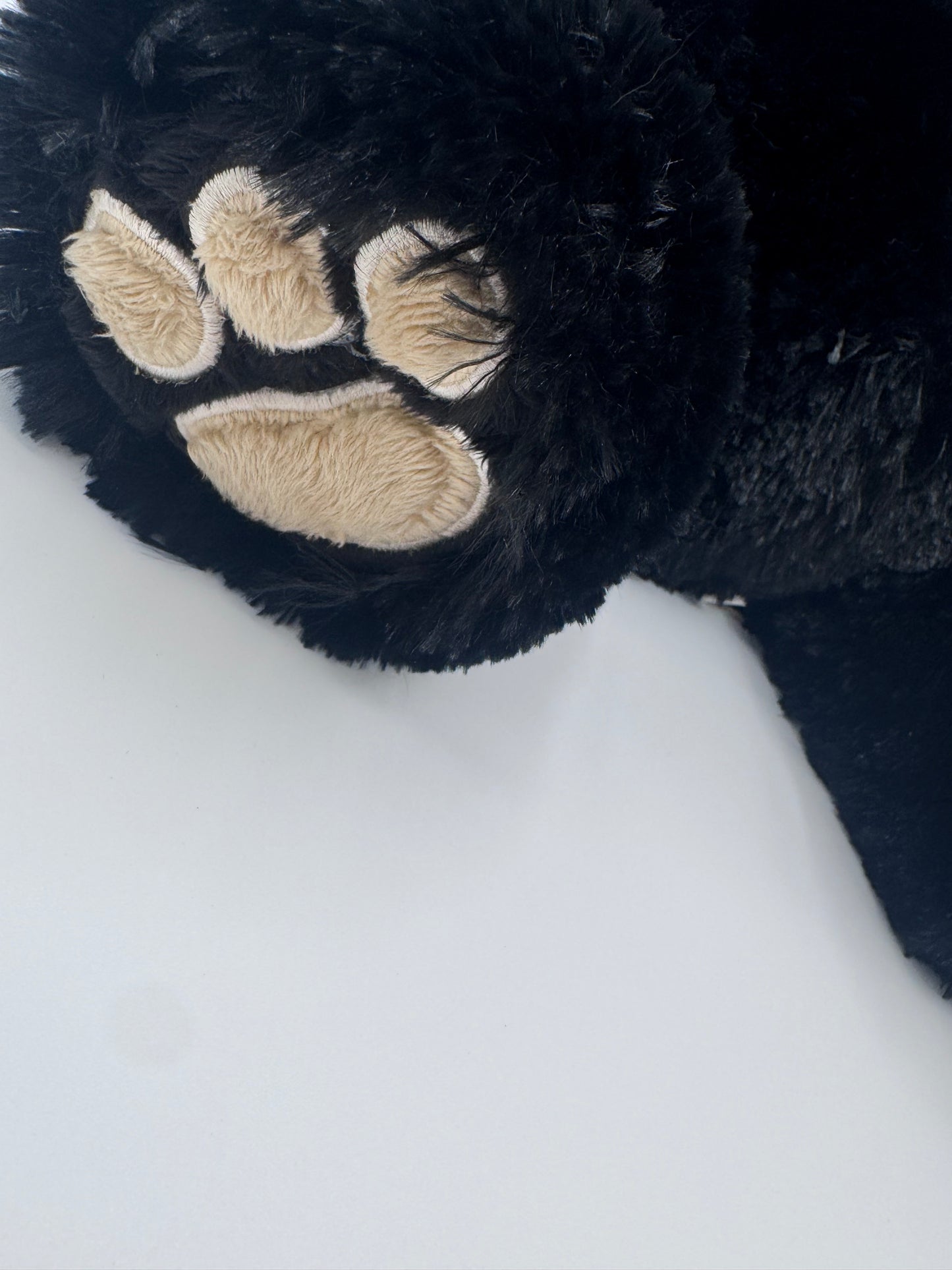 Boyds Bears and Friends 2005 Black Teddy Bear