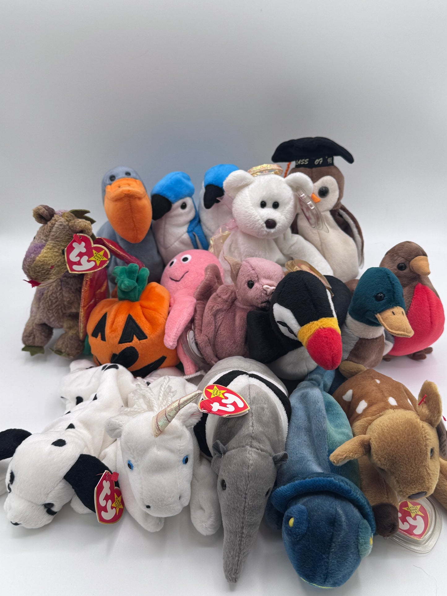 Beanie Babies TY-Hang Tag 5th Gen & Tush Tag 6th Gen Set of 17