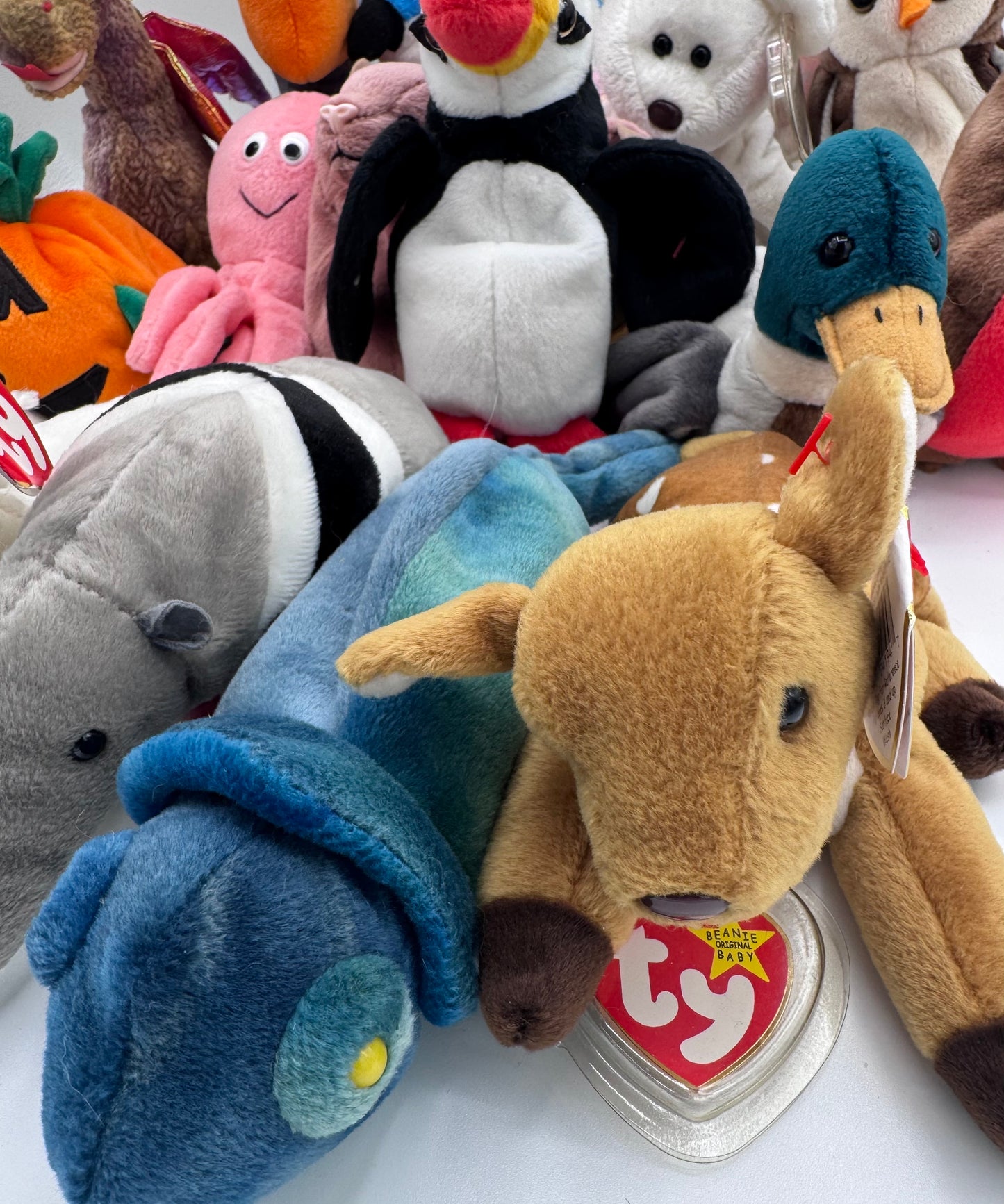 Beanie Babies TY-Hang Tag 5th Gen & Tush Tag 6th Gen Set of 17