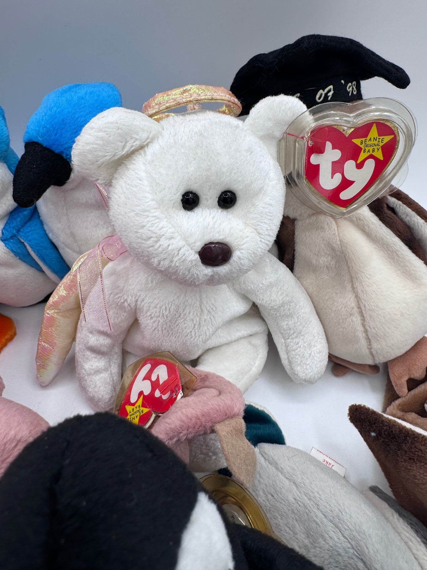 Beanie Babies TY-Hang Tag 5th Gen & Tush Tag 6th Gen Set of 17