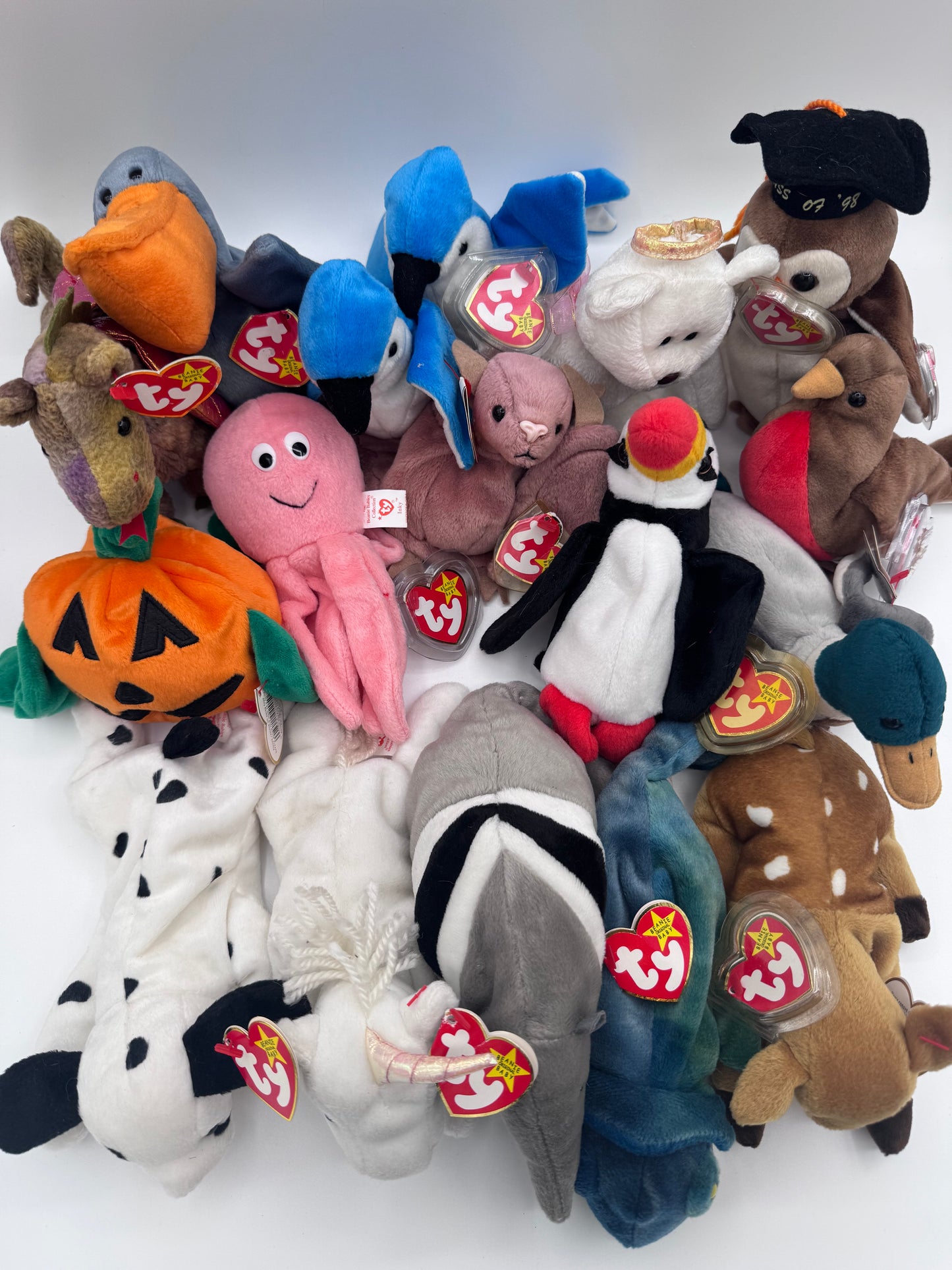 Beanie Babies TY-Hang Tag 5th Gen & Tush Tag 6th Gen Set of 17