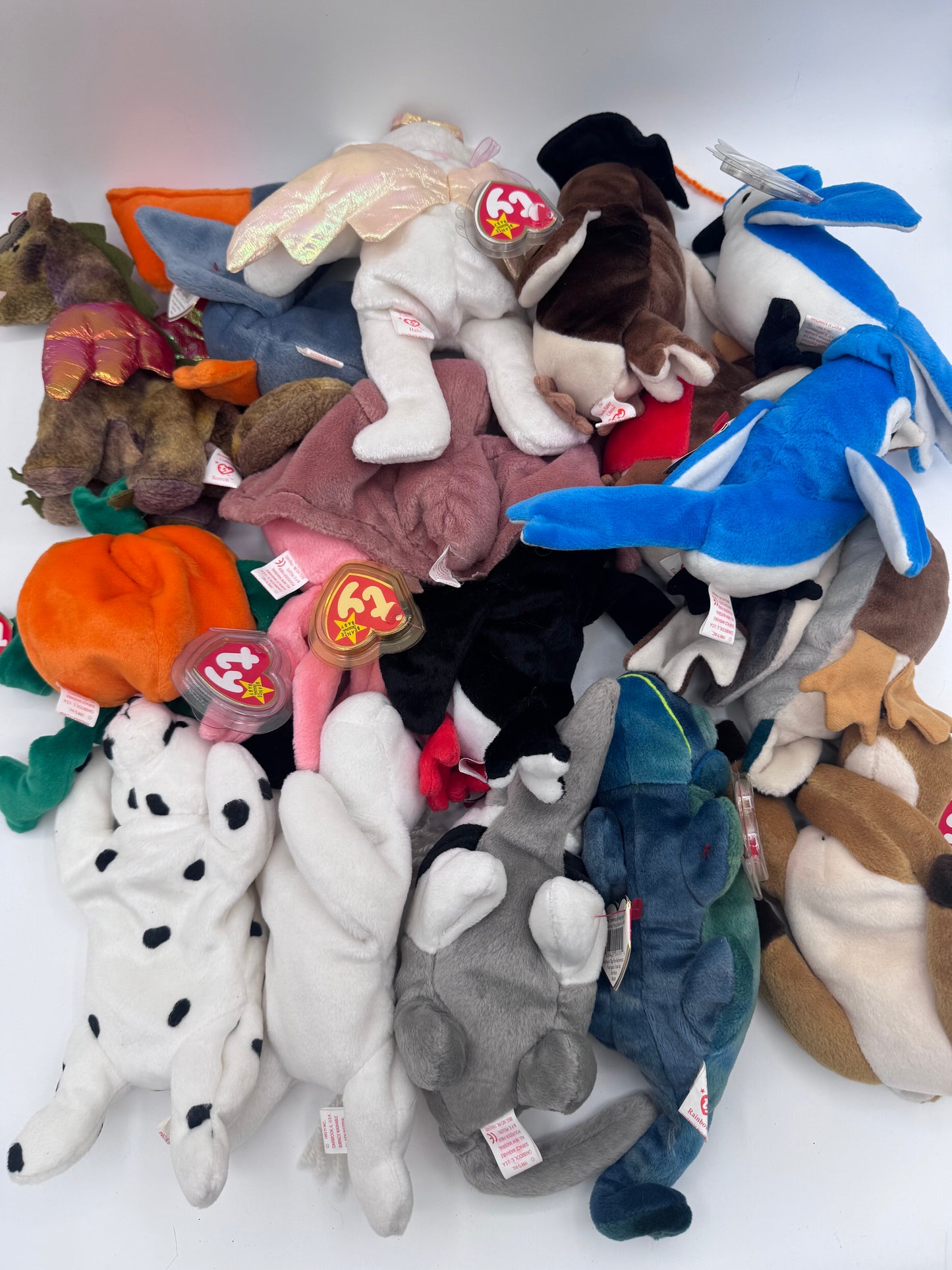 Beanie Babies TY-Hang Tag 5th Gen & Tush Tag 6th Gen Set of 17