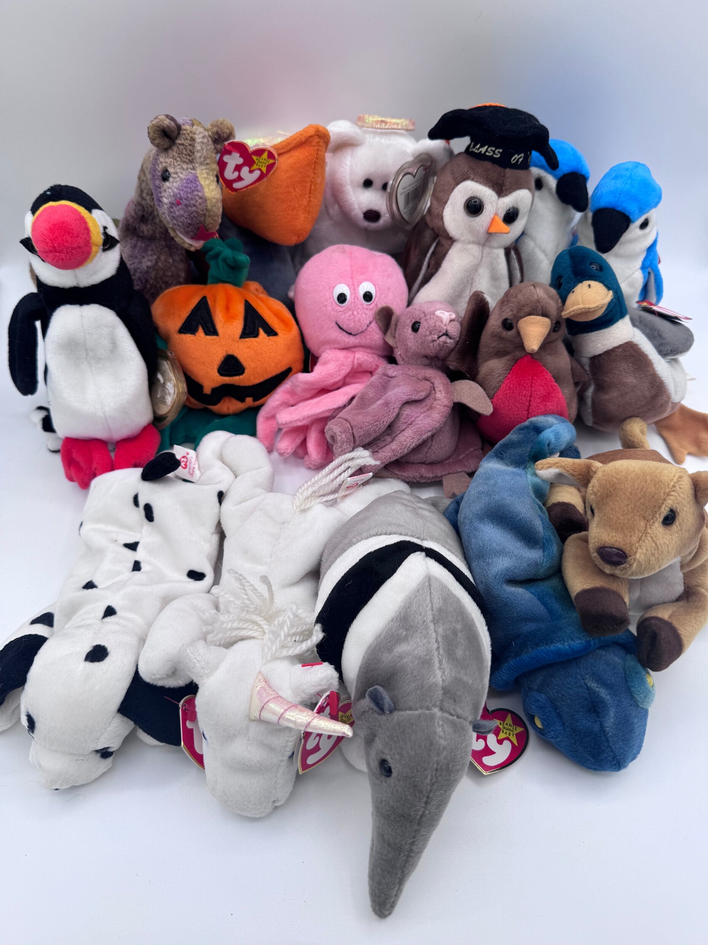 Beanie Babies TY-Hang Tag 5th Gen & Tush Tag 6th Gen Set of 17