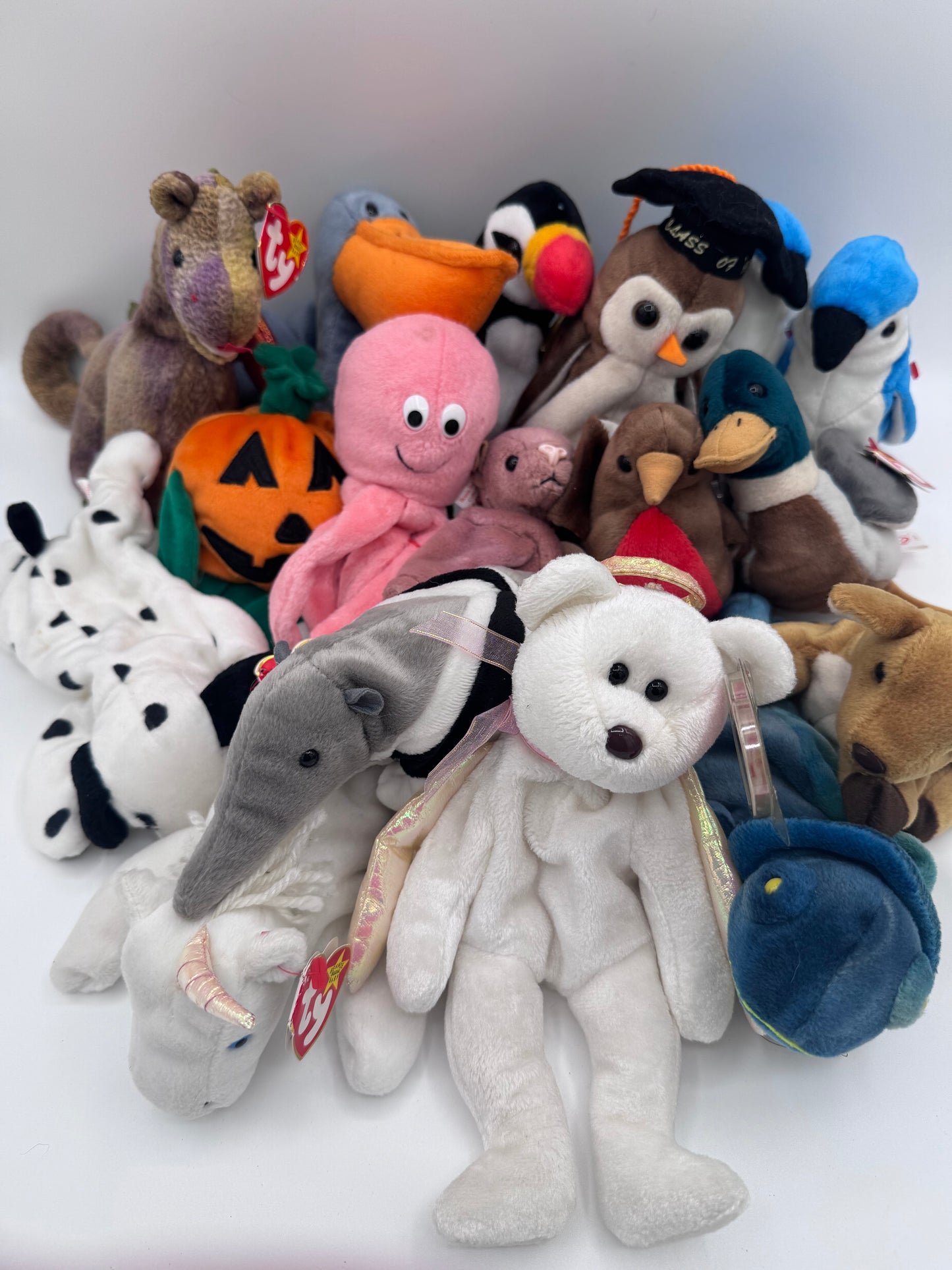 Beanie Babies TY-Hang Tag 5th Gen & Tush Tag 6th Gen Set of 17