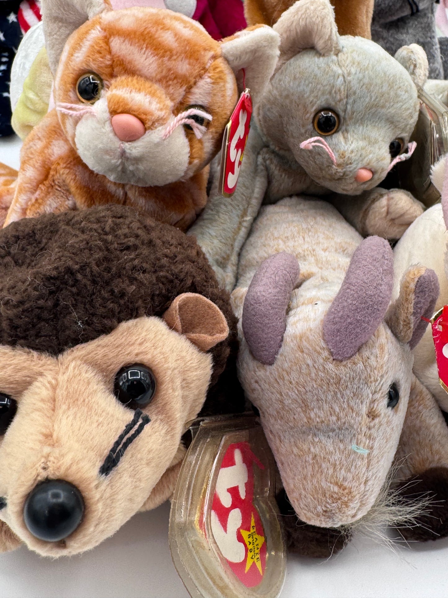 Beanie Babies TY-Hang Tag 5th Gen & Tush Tag 7th Gen Set of 15 babies