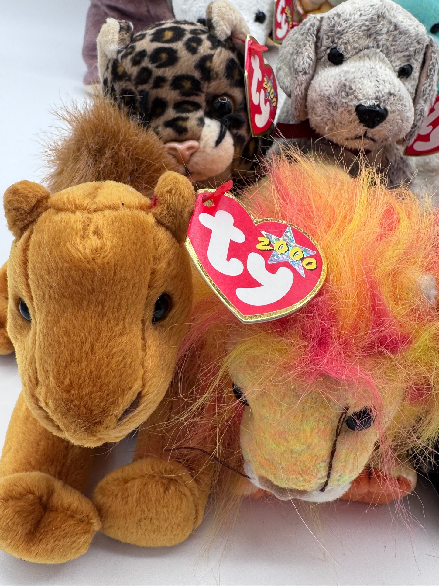 Beanie Babies TY-Hang Tag 6th Gen & Tush Tag 9th Gen Set of 13