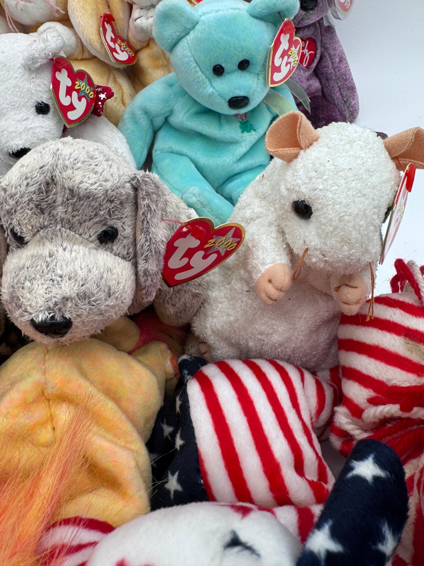 Beanie Babies TY-Hang Tag 6th Gen & Tush Tag 9th Gen Set of 13