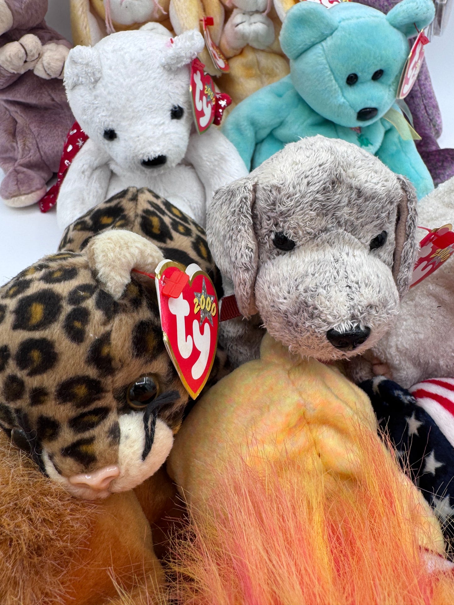 Beanie Babies TY-Hang Tag 6th Gen & Tush Tag 9th Gen Set of 13