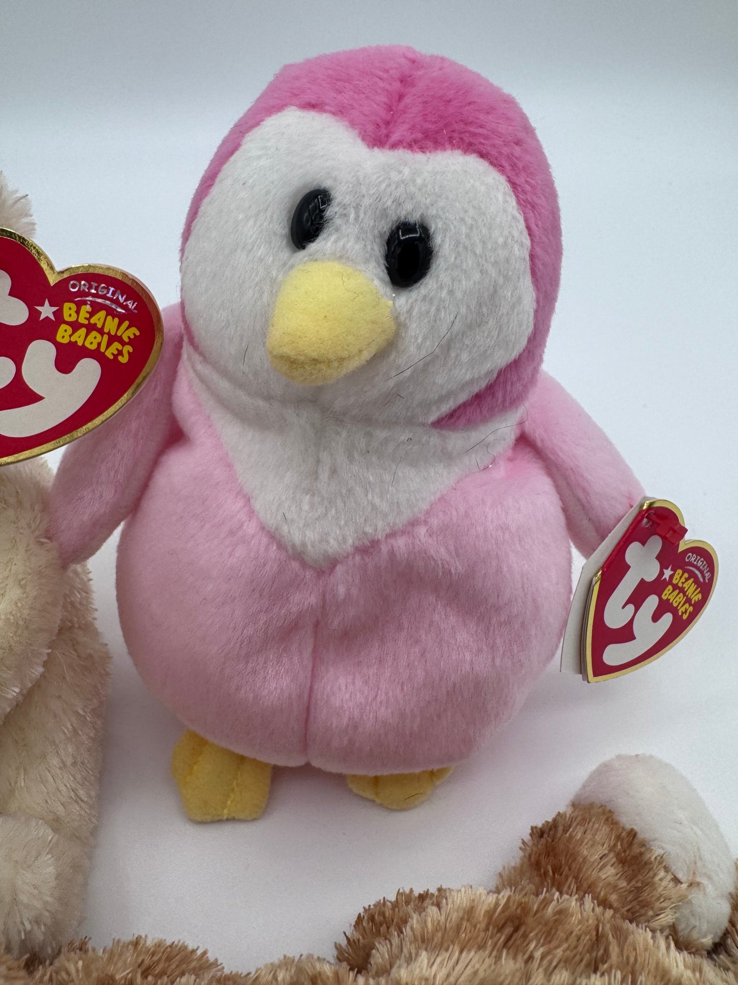 Beanie Babies TY - Hang Tag 15th Gen & Tush Tag 13th Gen Set of 3 Babies