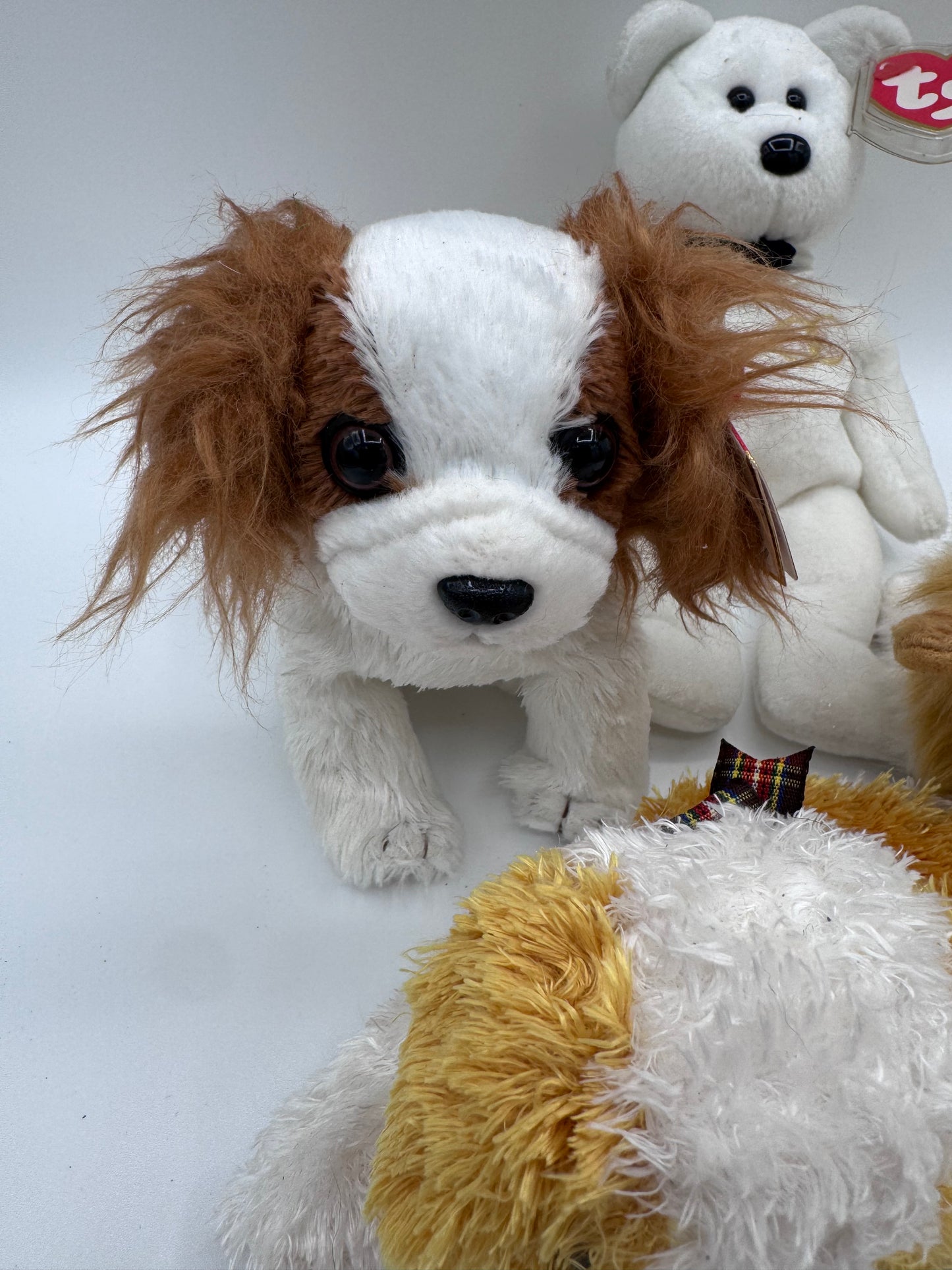 Beanie Babies TY -Hang Tag 8th Gen & Tush Tag 10th Gen Set of 4 Babies