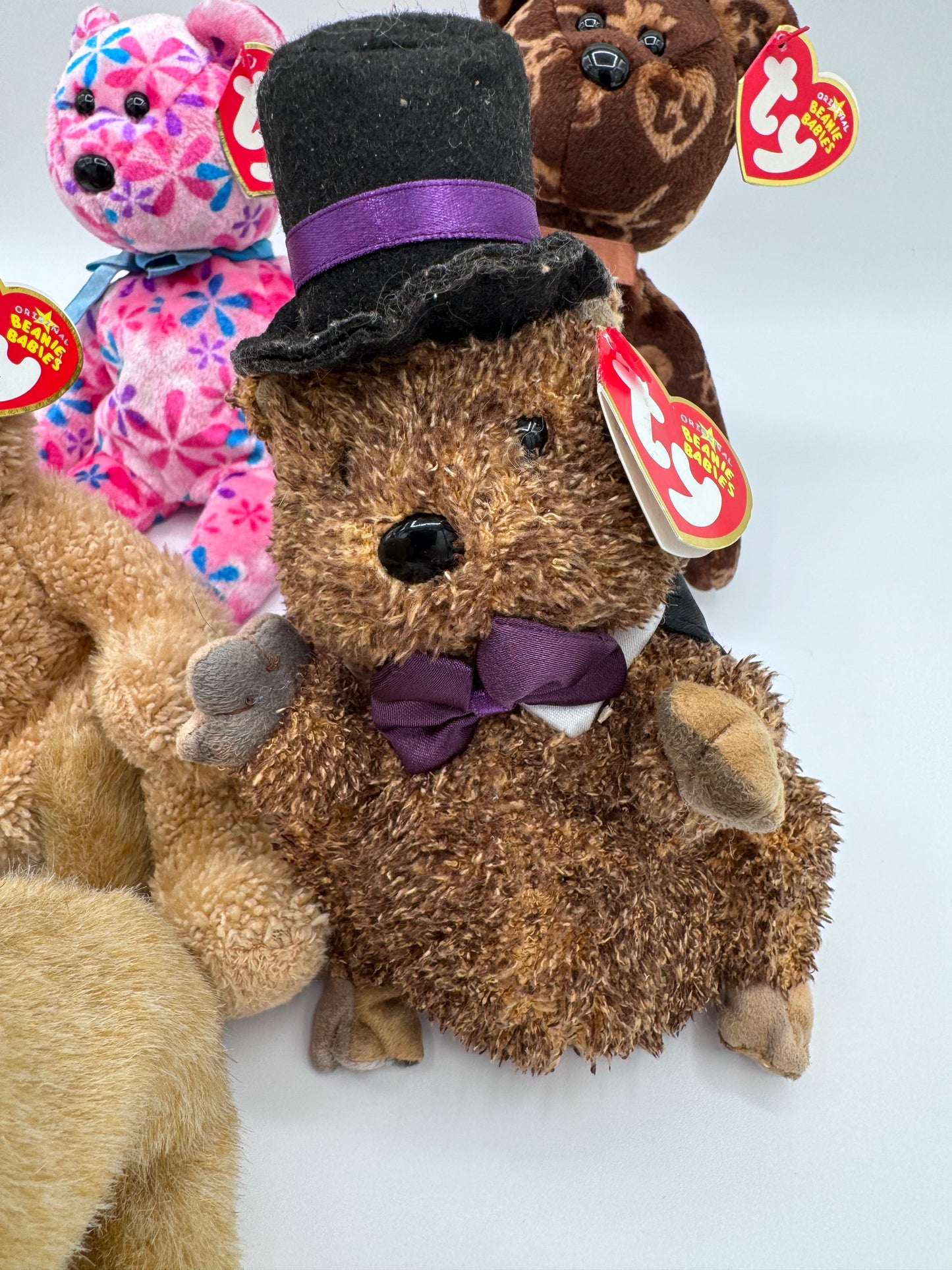 Beanie Babies TY - Hang Tag 14th Gen & Tush Tag 13th Gen Set of 5 Babies