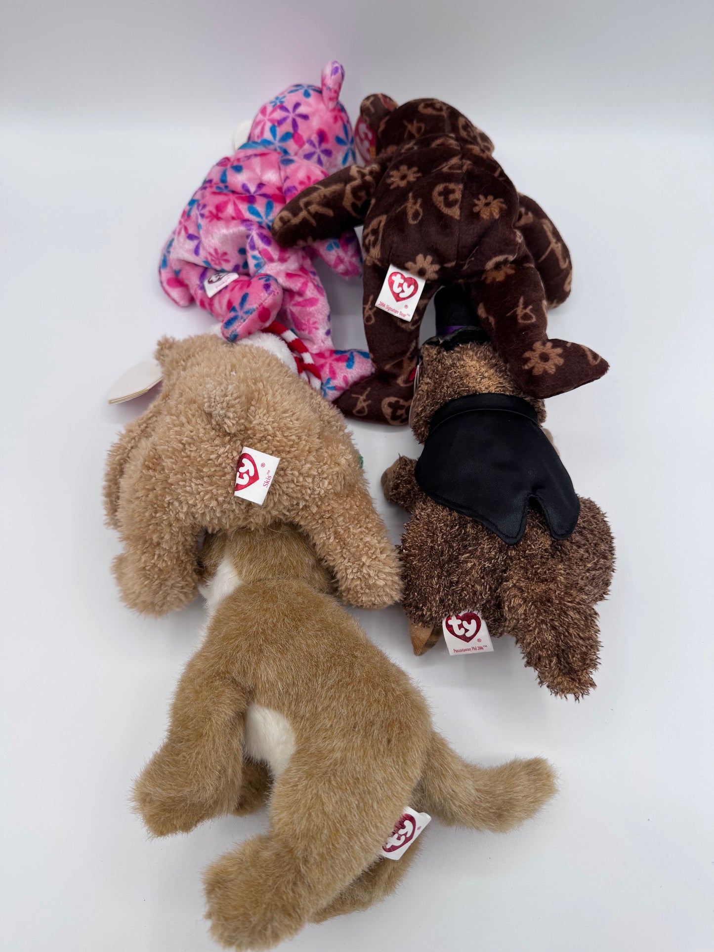 Beanie Babies TY - Hang Tag 14th Gen & Tush Tag 13th Gen Set of 5 Babies