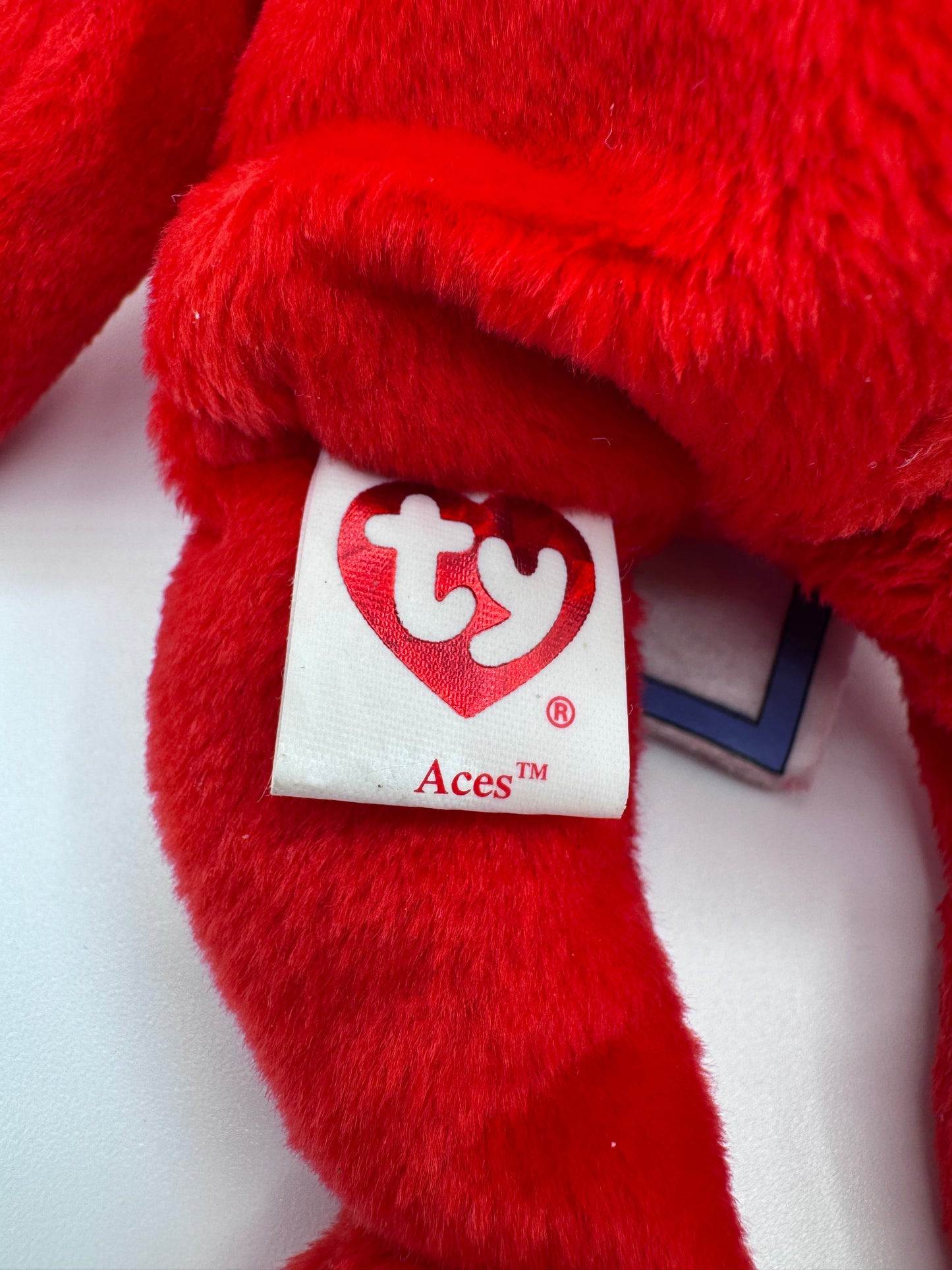 Beanie Baby TY - Aces Las Vegas Bear Tag 14th Gen & Tush Tag 13th Gen