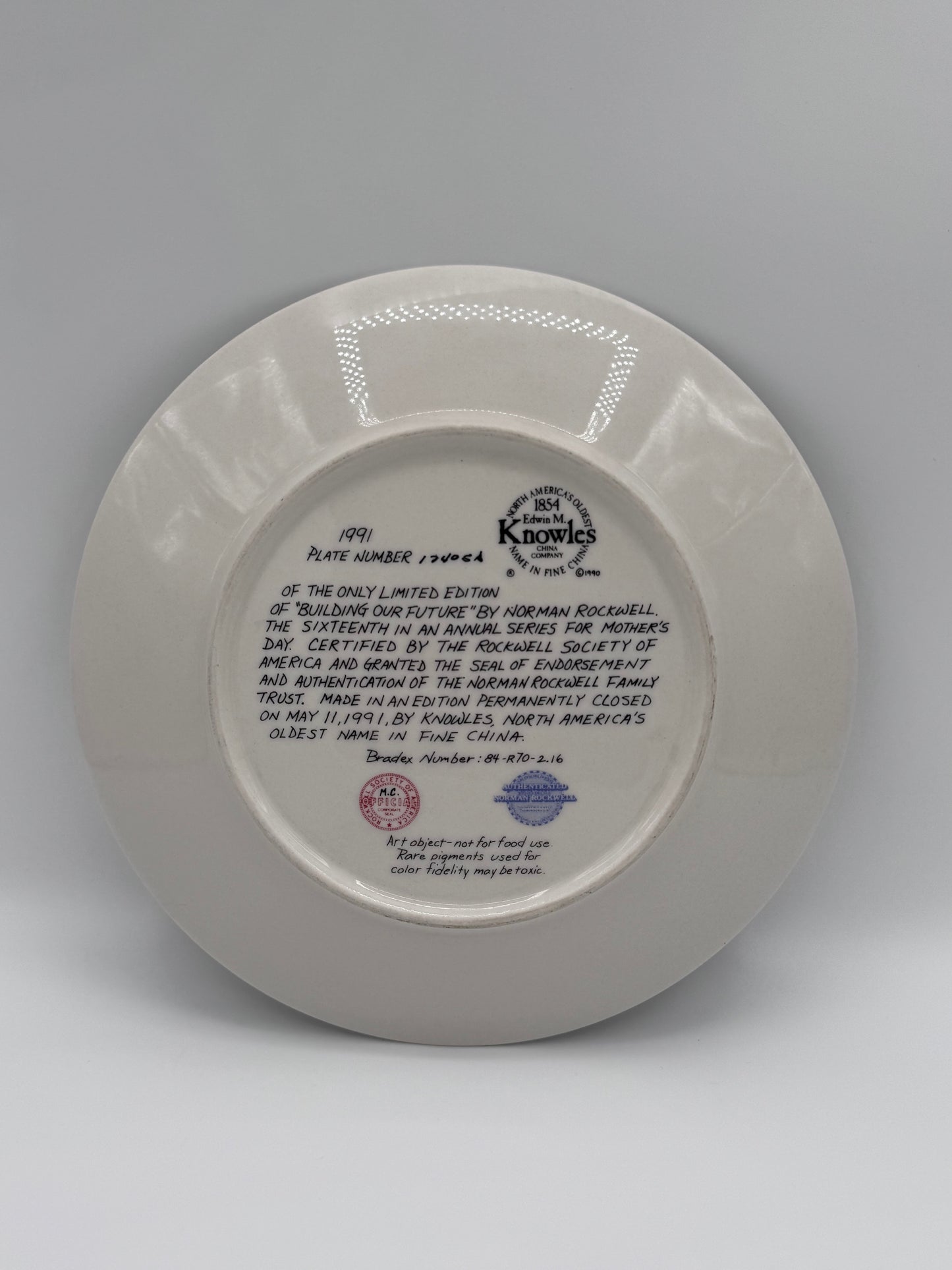 Building Our Future 1991 Norman Rockwell Collector Plate