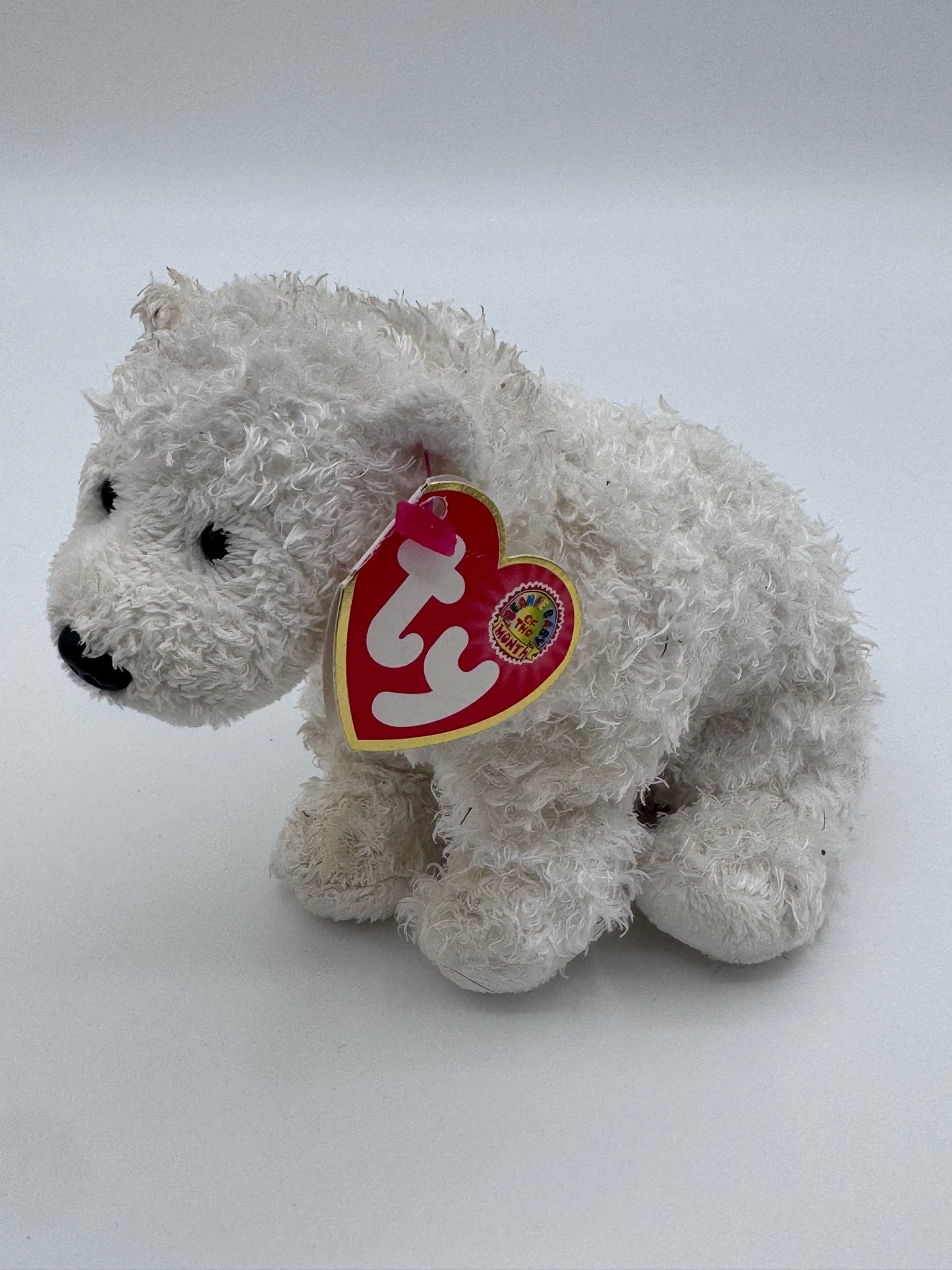 Beanie Babies TY - Hang tag Beanie Baby of the Month & Tush Tag 13th Gen
