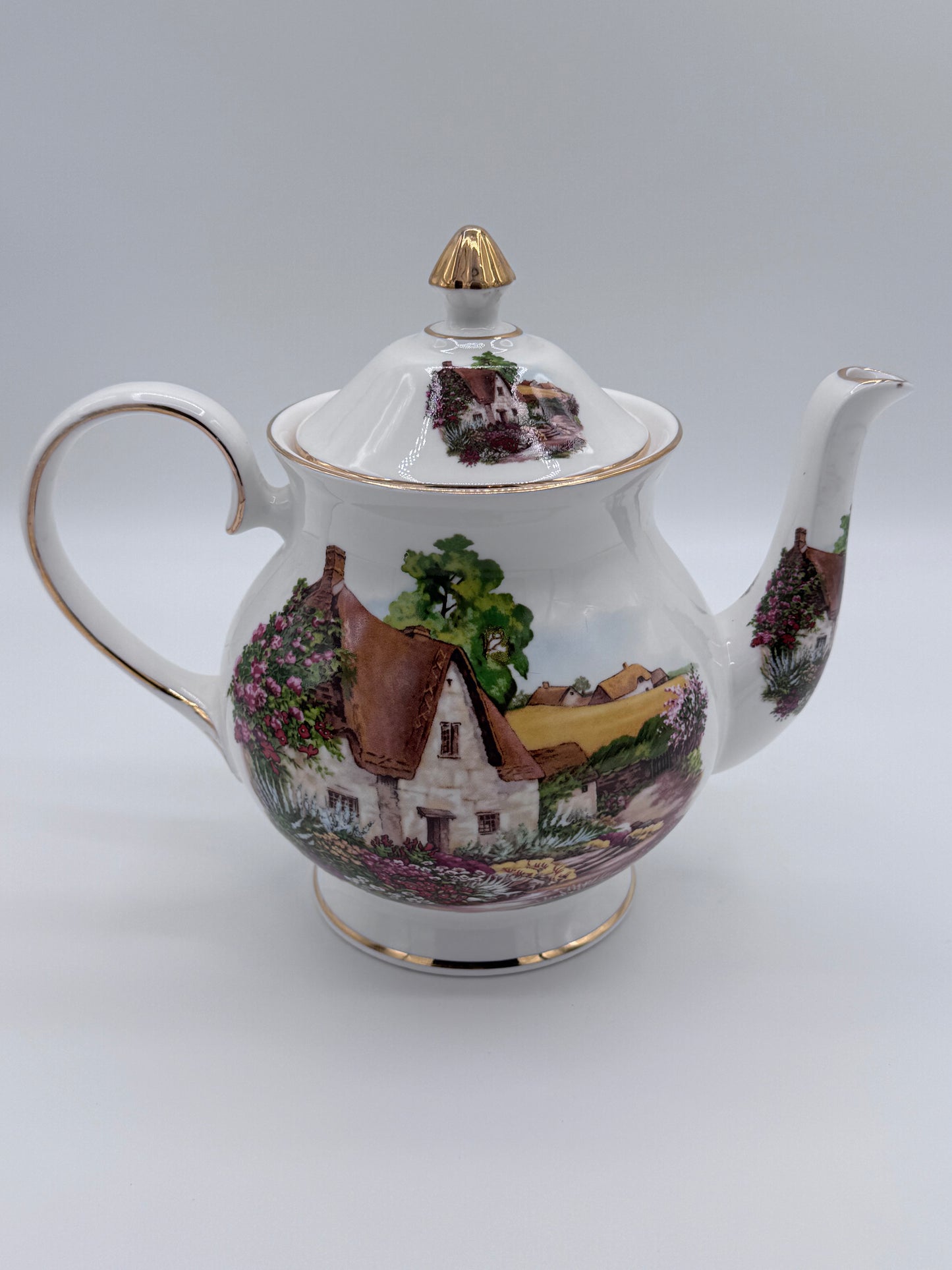 Royale Brindley Stoke on Trent Countryside Teapot China