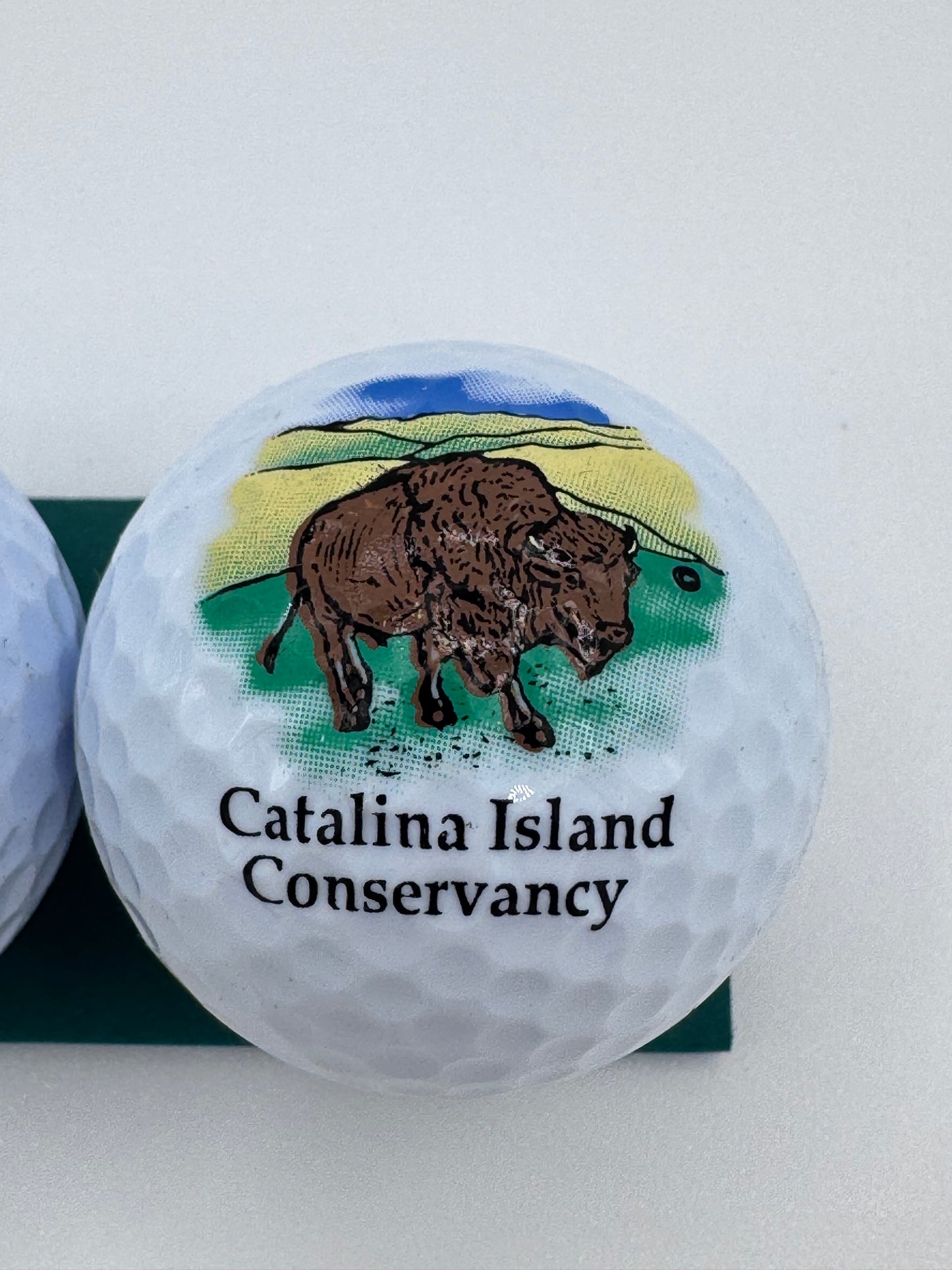 Catalina Island Souvenir Golf Balls Set