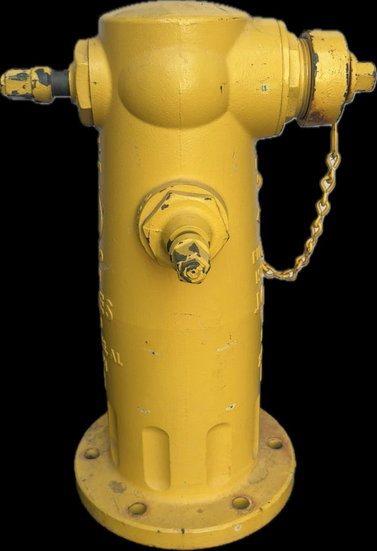 2018 Yellow Fire Hydrant