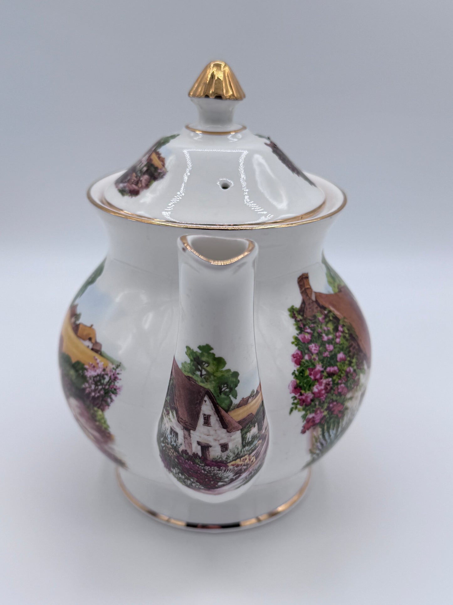 Royale Brindley Stoke on Trent Countryside Teapot China