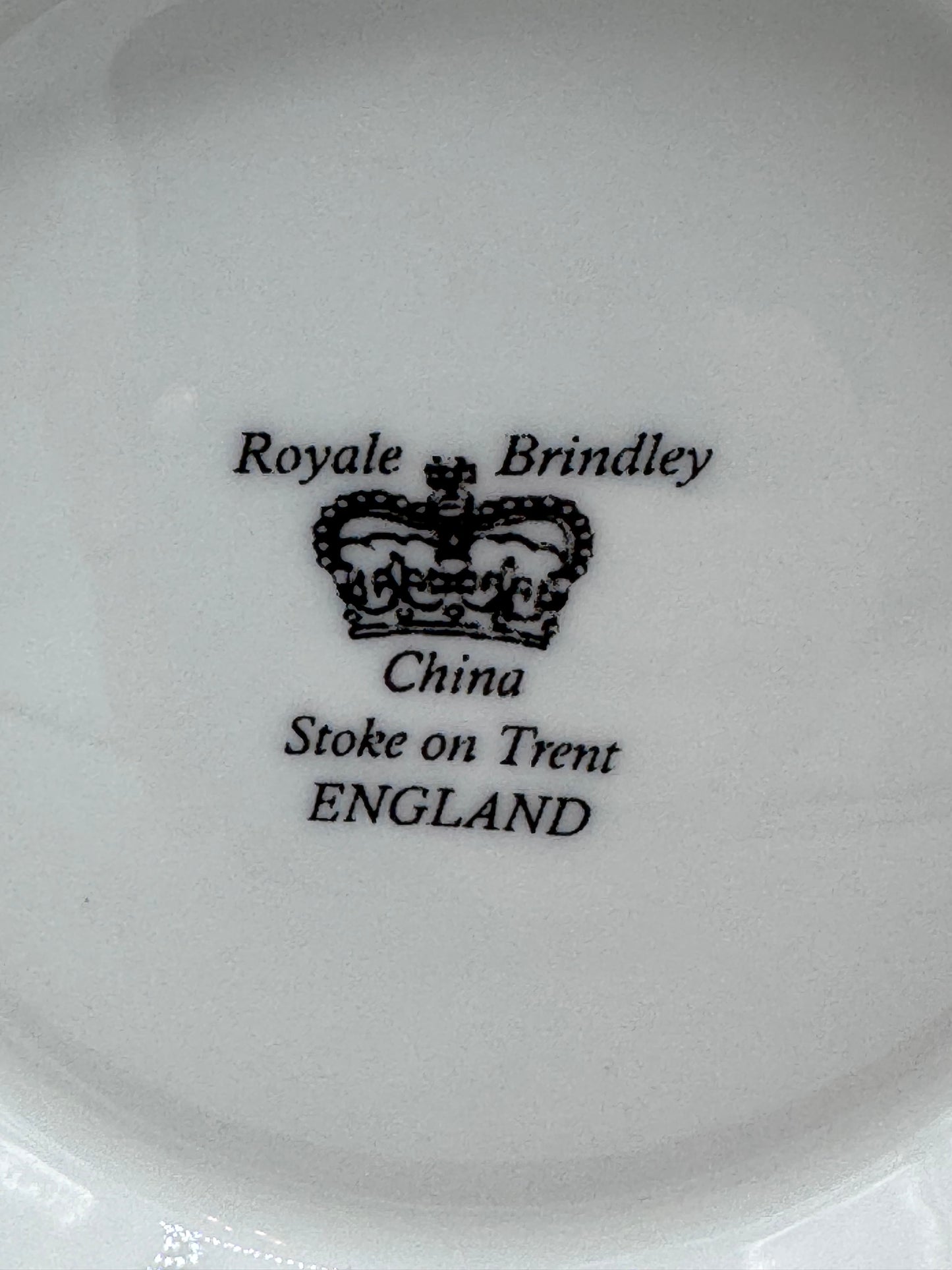 Royale Brindley Stoke on Trent Countryside Teapot China