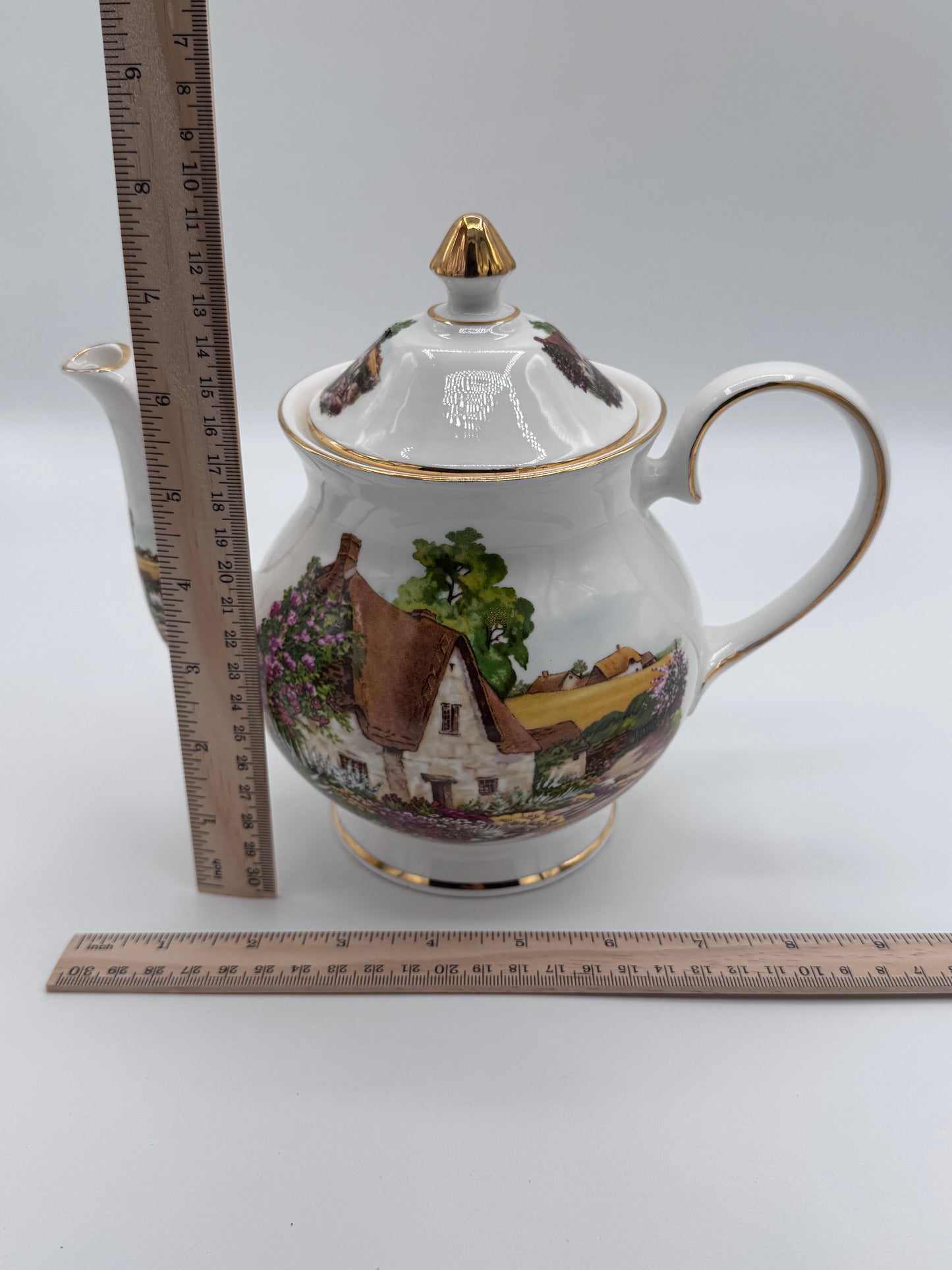 Royale Brindley Stoke on Trent Countryside Teapot China