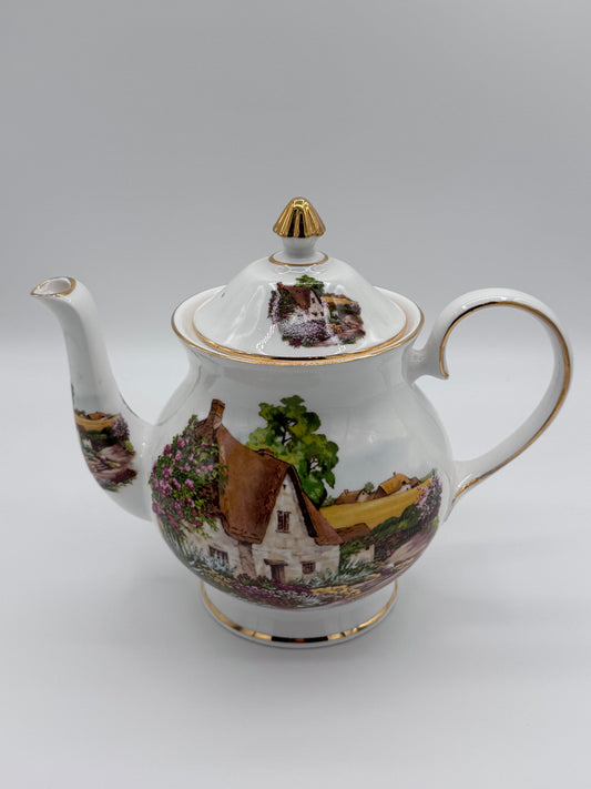 Royale Brindley Stoke on Trent Countryside Teapot China
