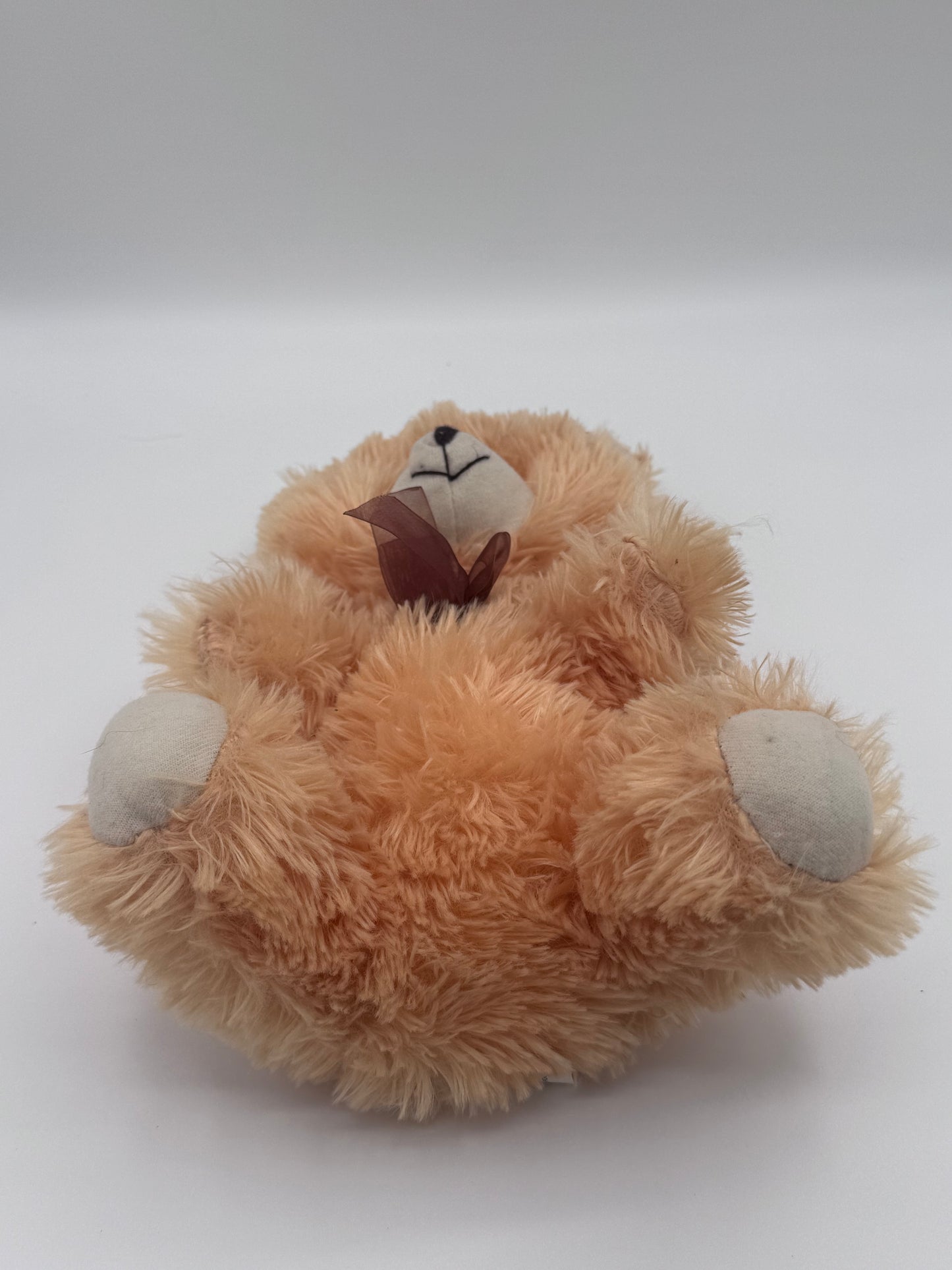 Tan Yellowish Collectable Teddy Bear