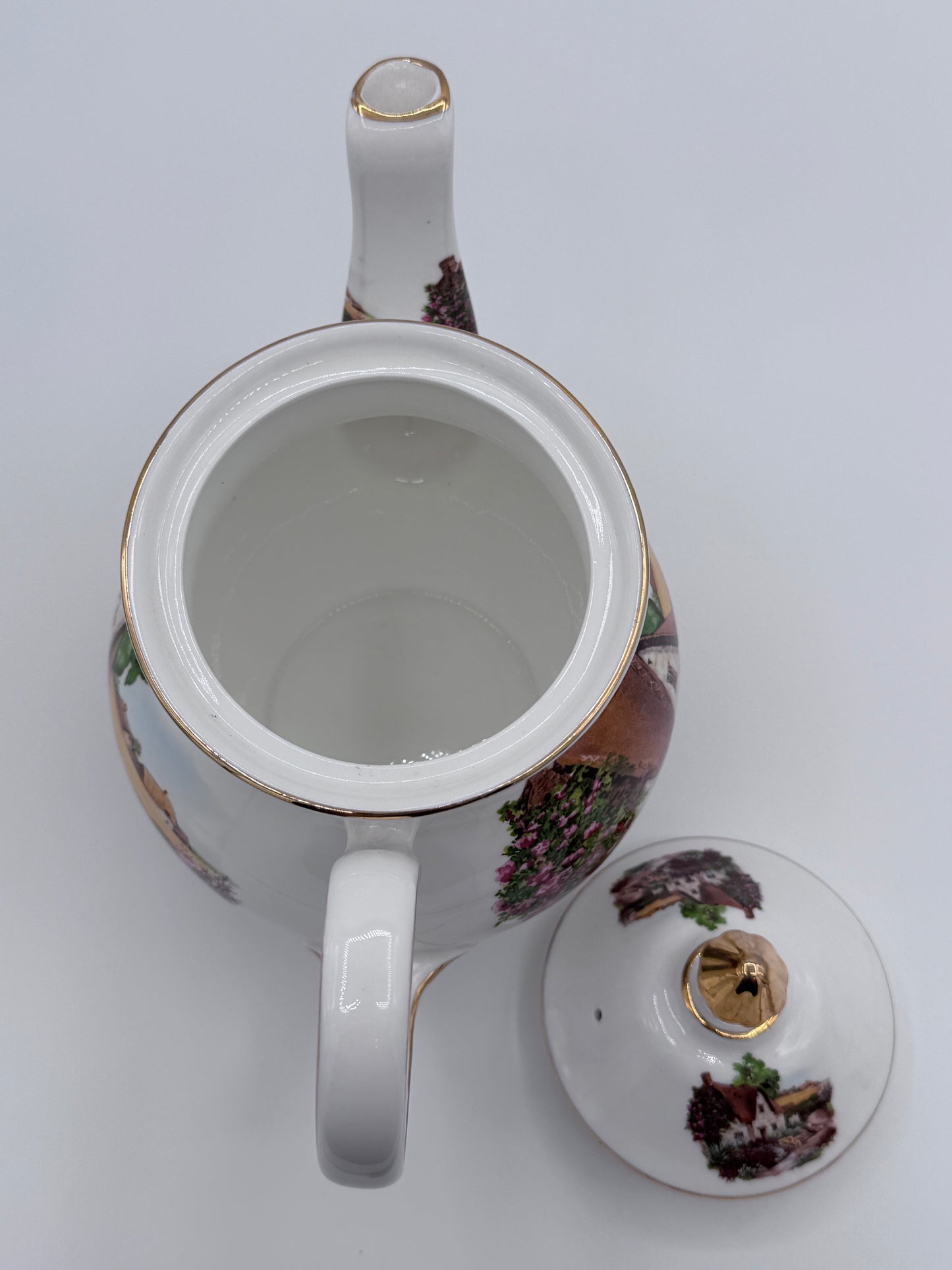Royale Brindley Stoke on Trent Countryside Teapot China