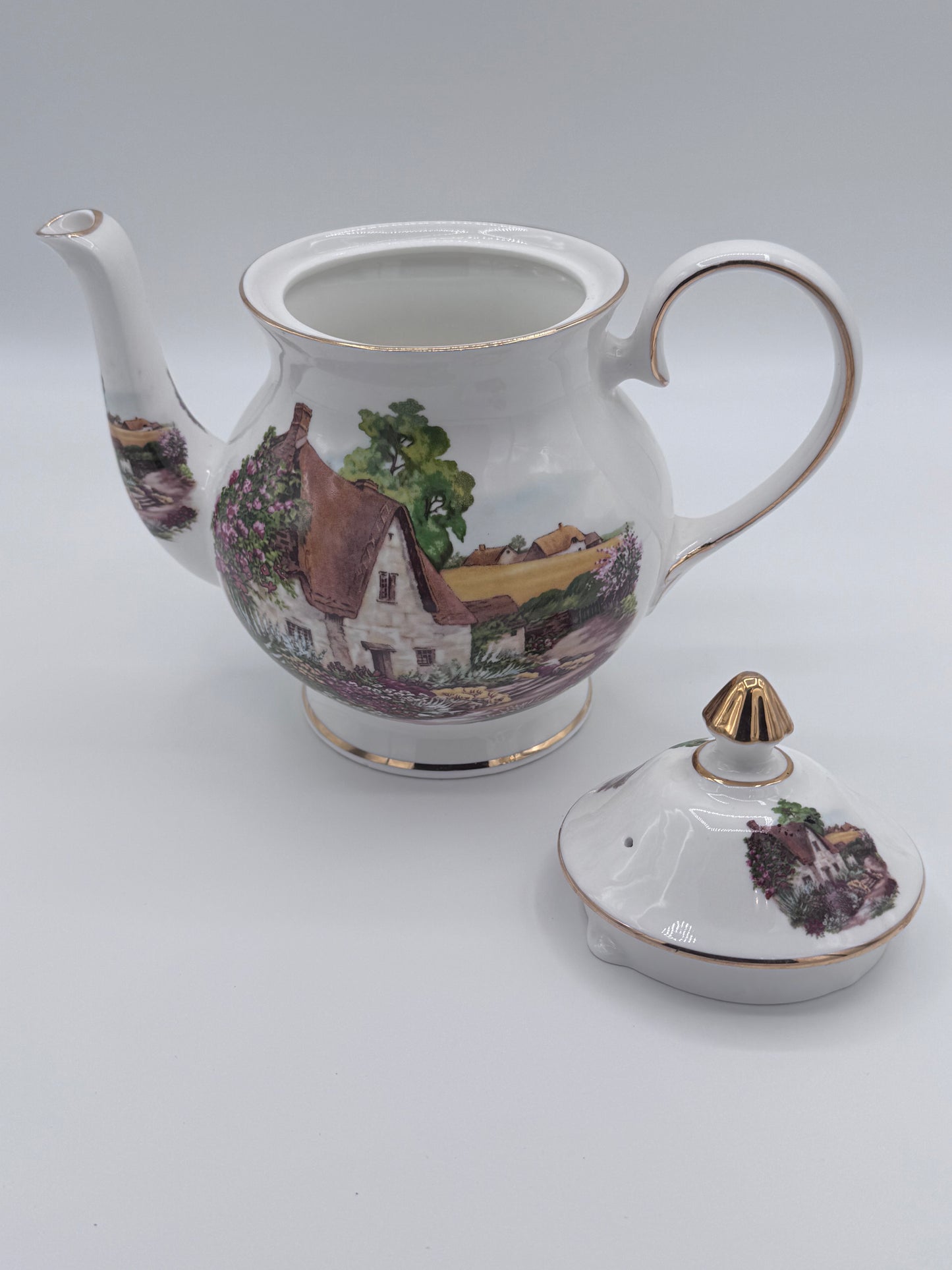 Royale Brindley Stoke on Trent Countryside Teapot China