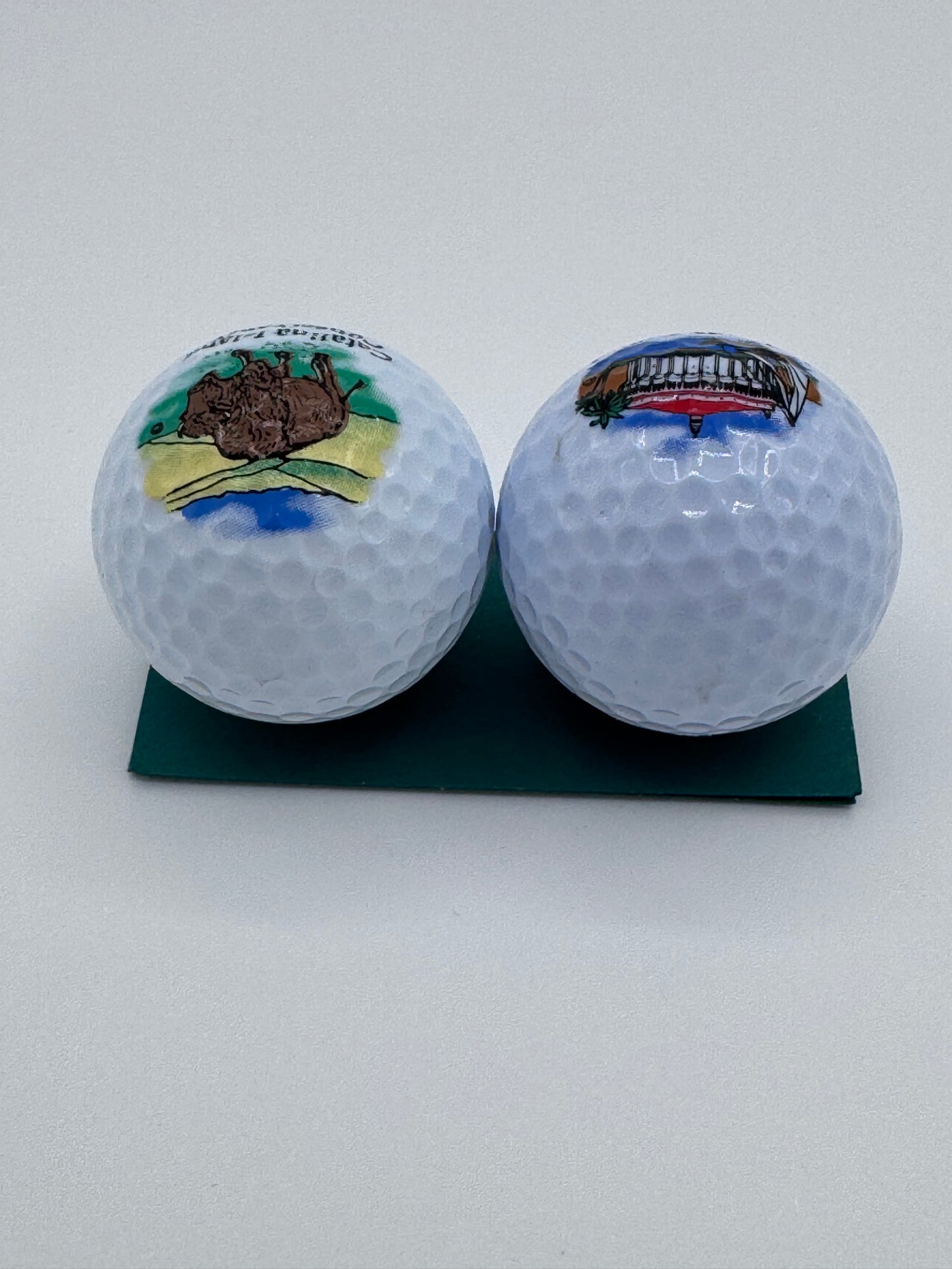 Catalina Island Souvenir Golf Balls Set