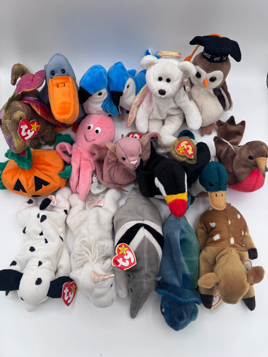 Beanie Babies TY-Hang Tag 5th Gen & Tush Tag 6th Gen Set of 17