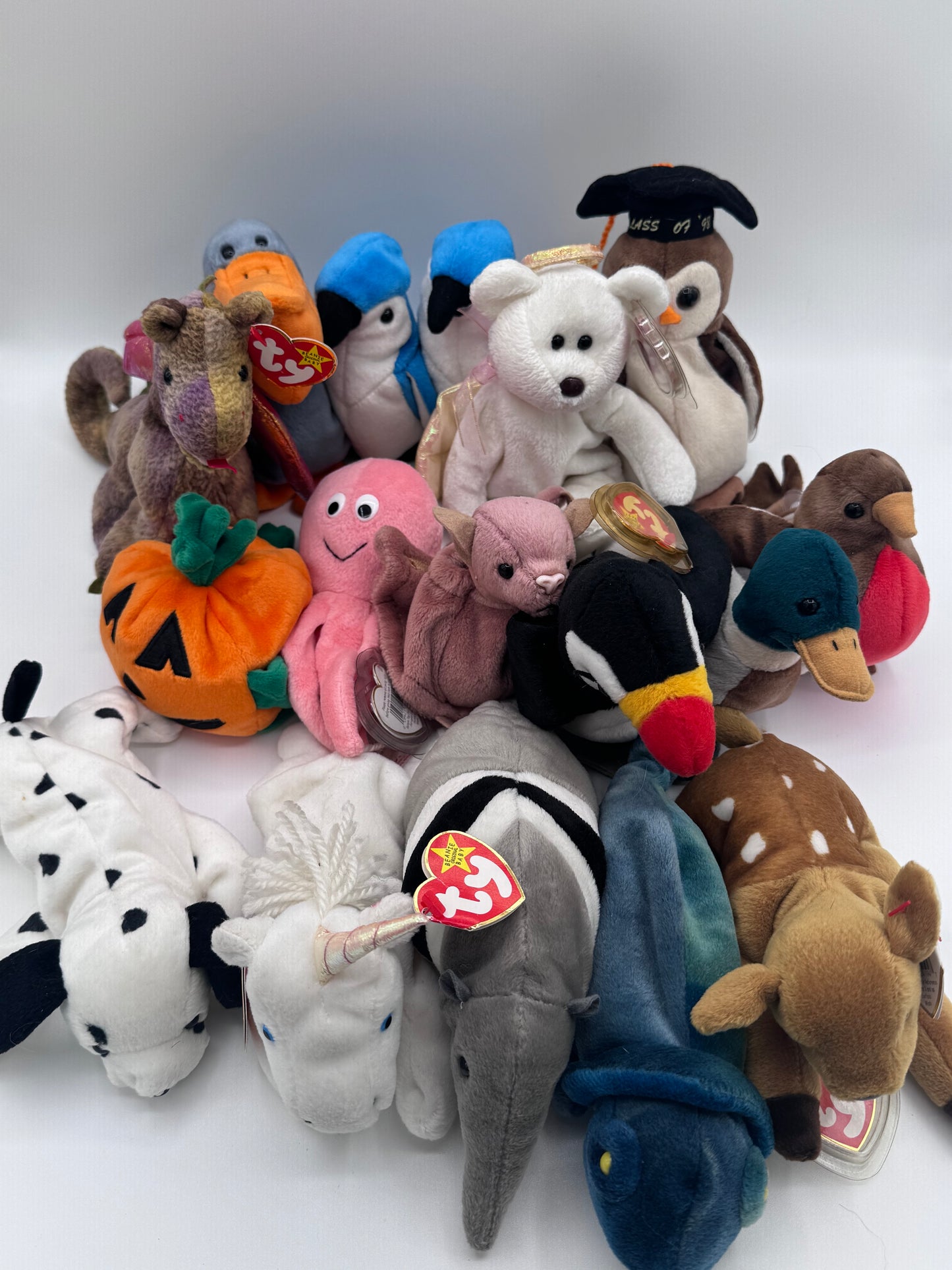 Beanie Babies TY-Hang Tag 5th Gen & Tush Tag 6th Gen Set of 17
