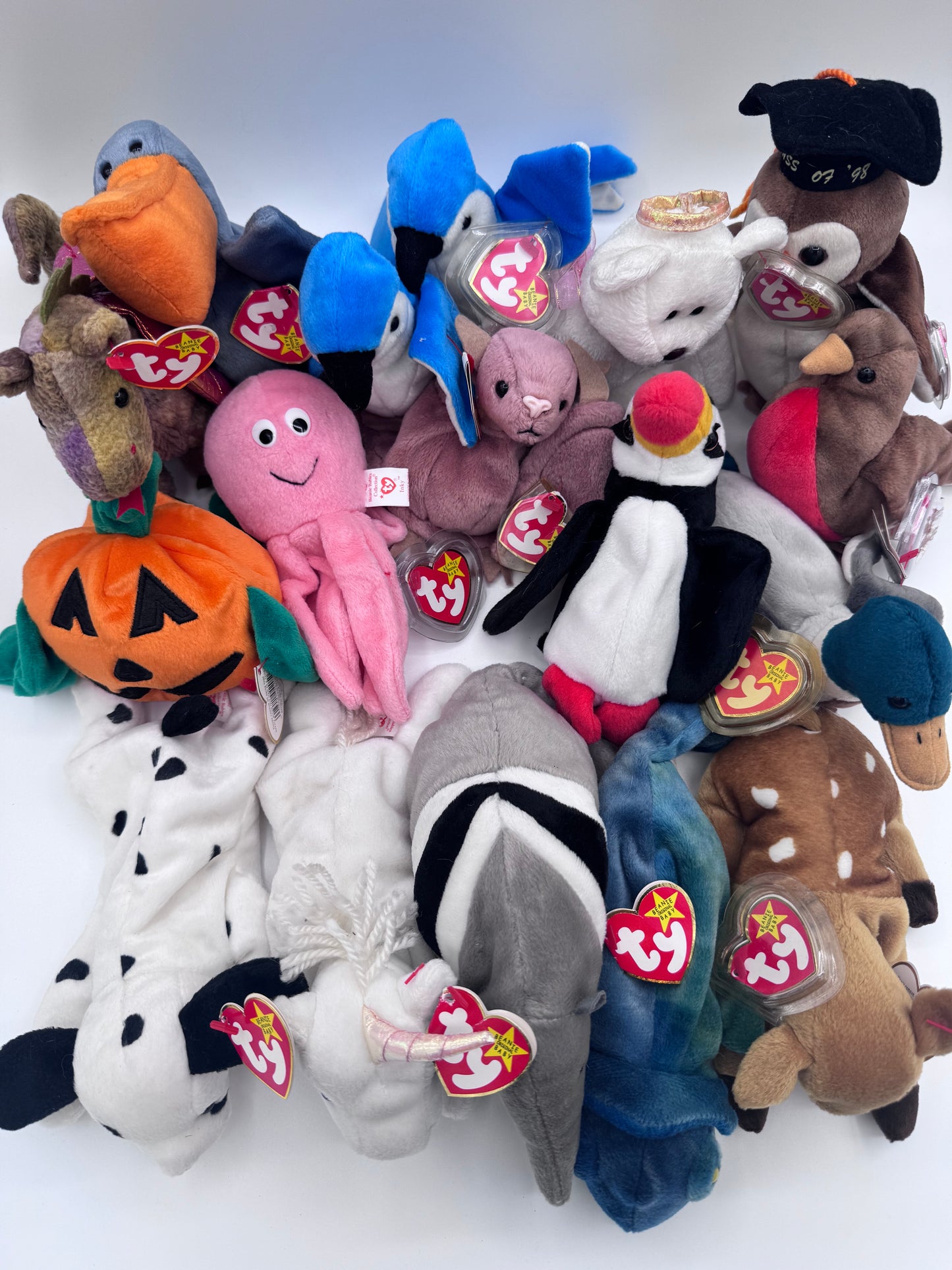 Beanie Babies TY-Hang Tag 5th Gen & Tush Tag 6th Gen Set of 17