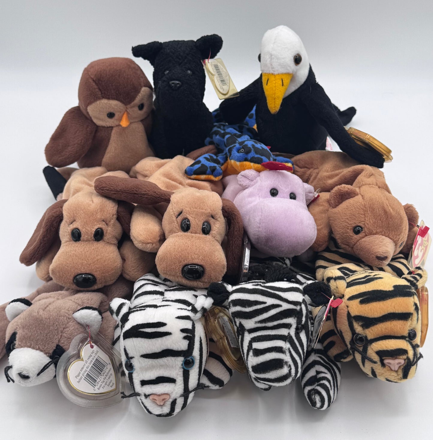 Beanie Babies TY-Hang Tag 4th Gen & Tush Tag 4th Gen Set of 12 Babies