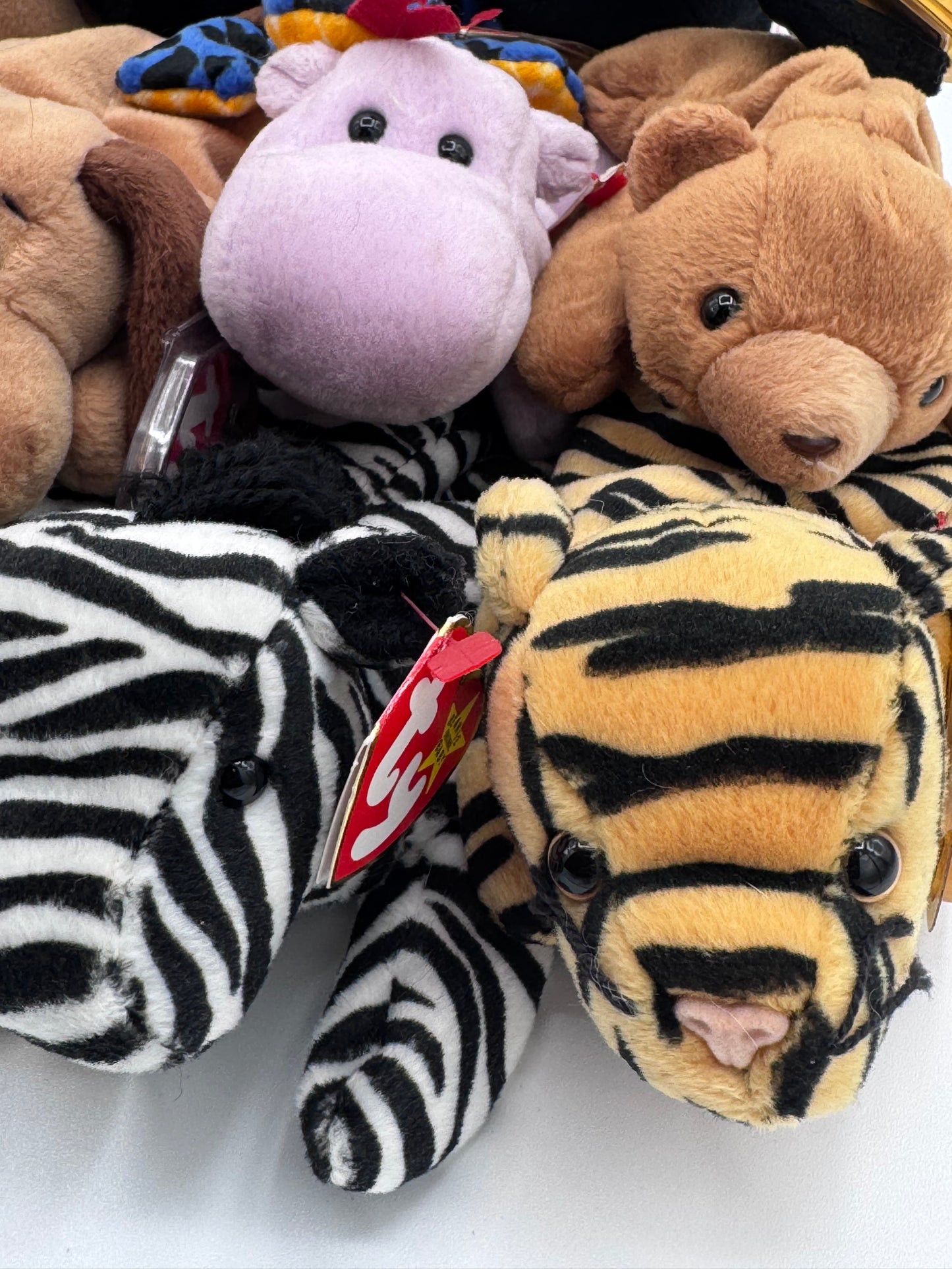 Beanie Babies TY-Hang Tag 4th Gen & Tush Tag 4th Gen Set of 12 Babies