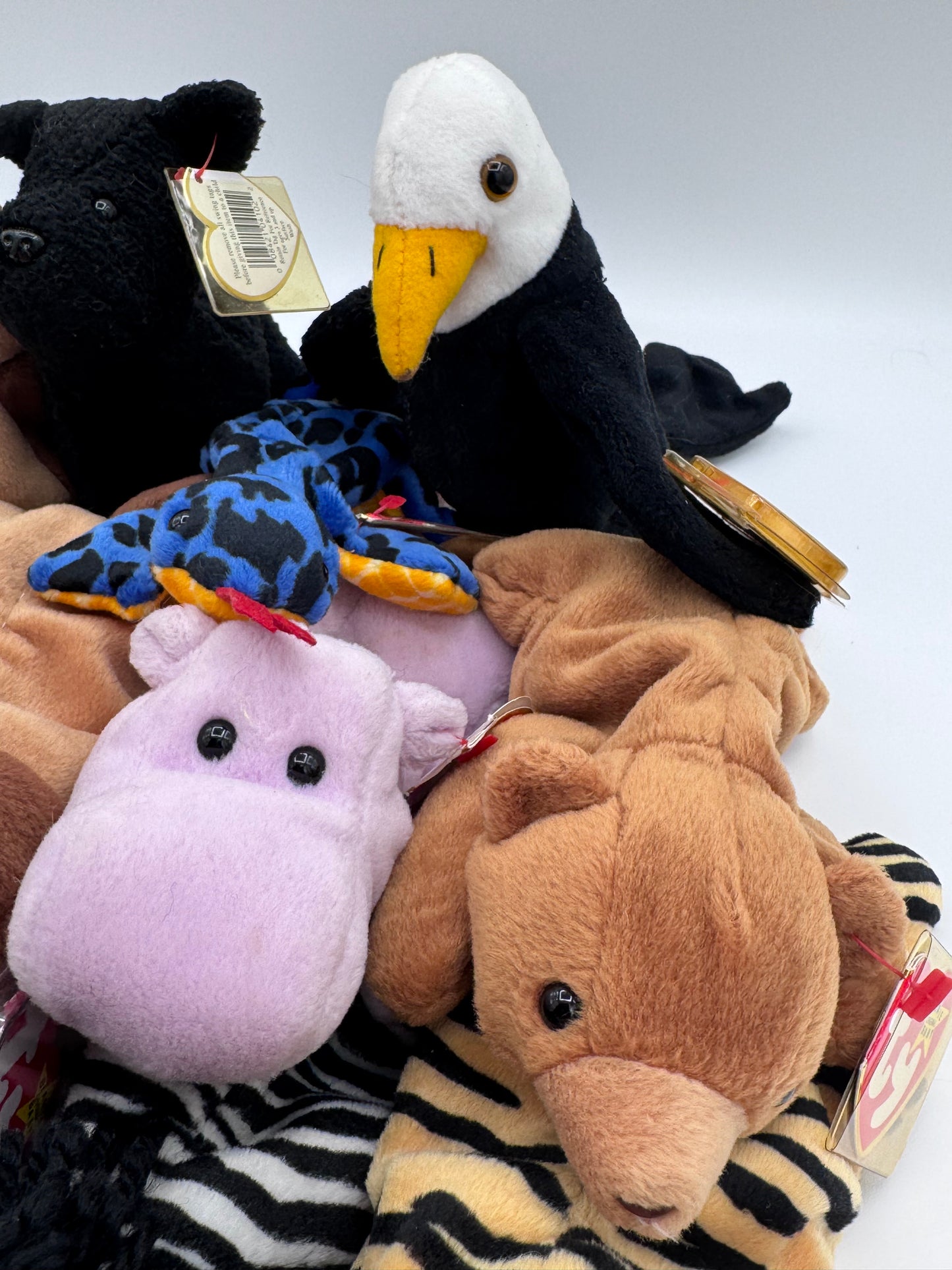 Beanie Babies TY-Hang Tag 4th Gen & Tush Tag 4th Gen Set of 12 Babies