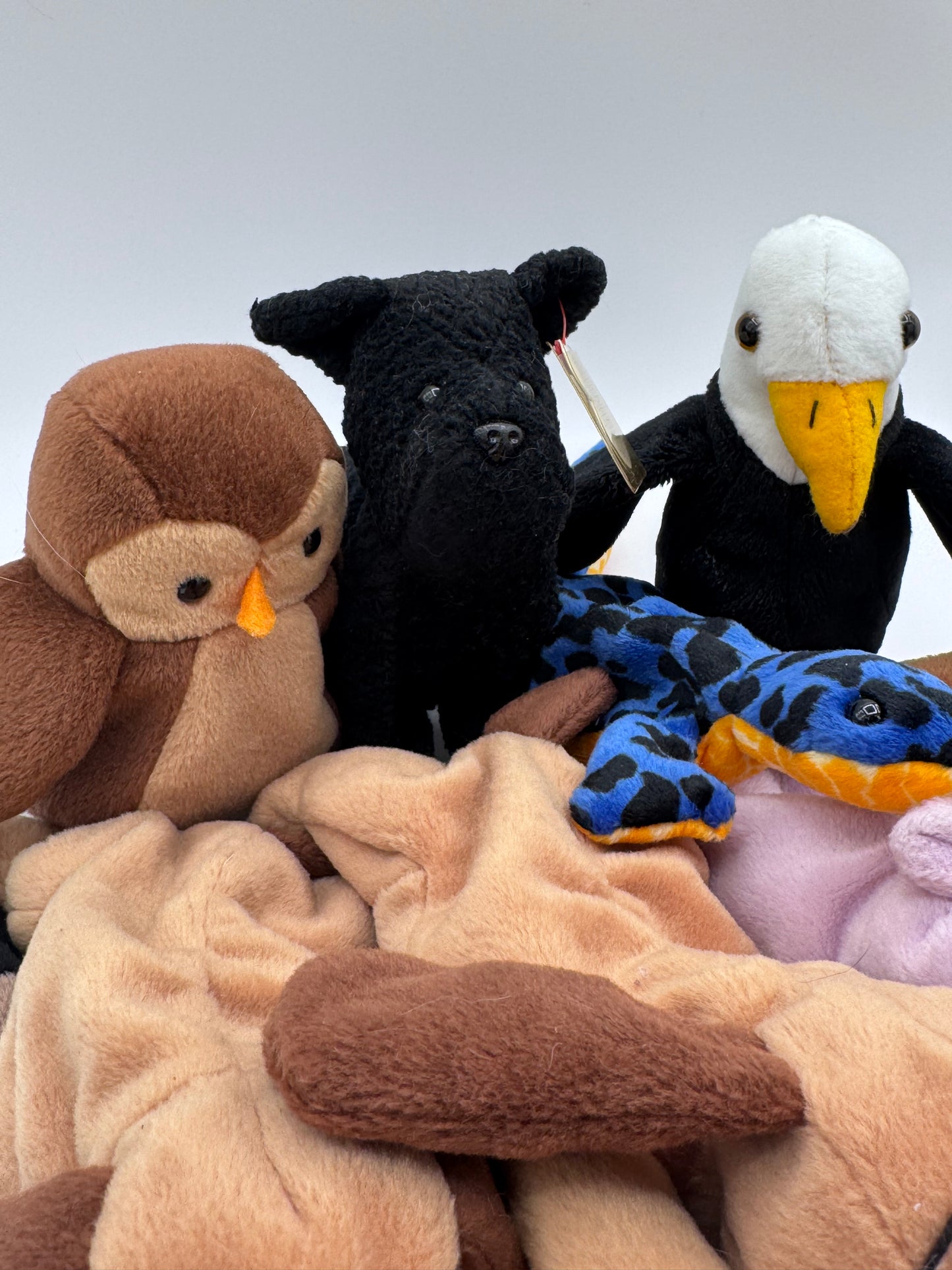 Beanie Babies TY-Hang Tag 4th Gen & Tush Tag 4th Gen Set of 12 Babies