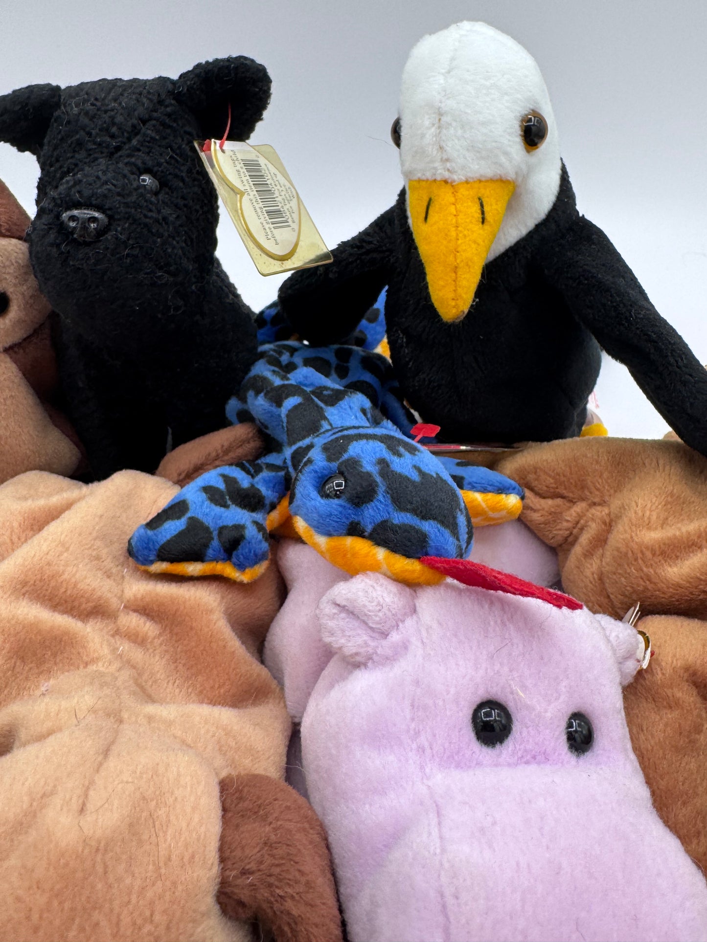 Beanie Babies TY-Hang Tag 4th Gen & Tush Tag 4th Gen Set of 12 Babies