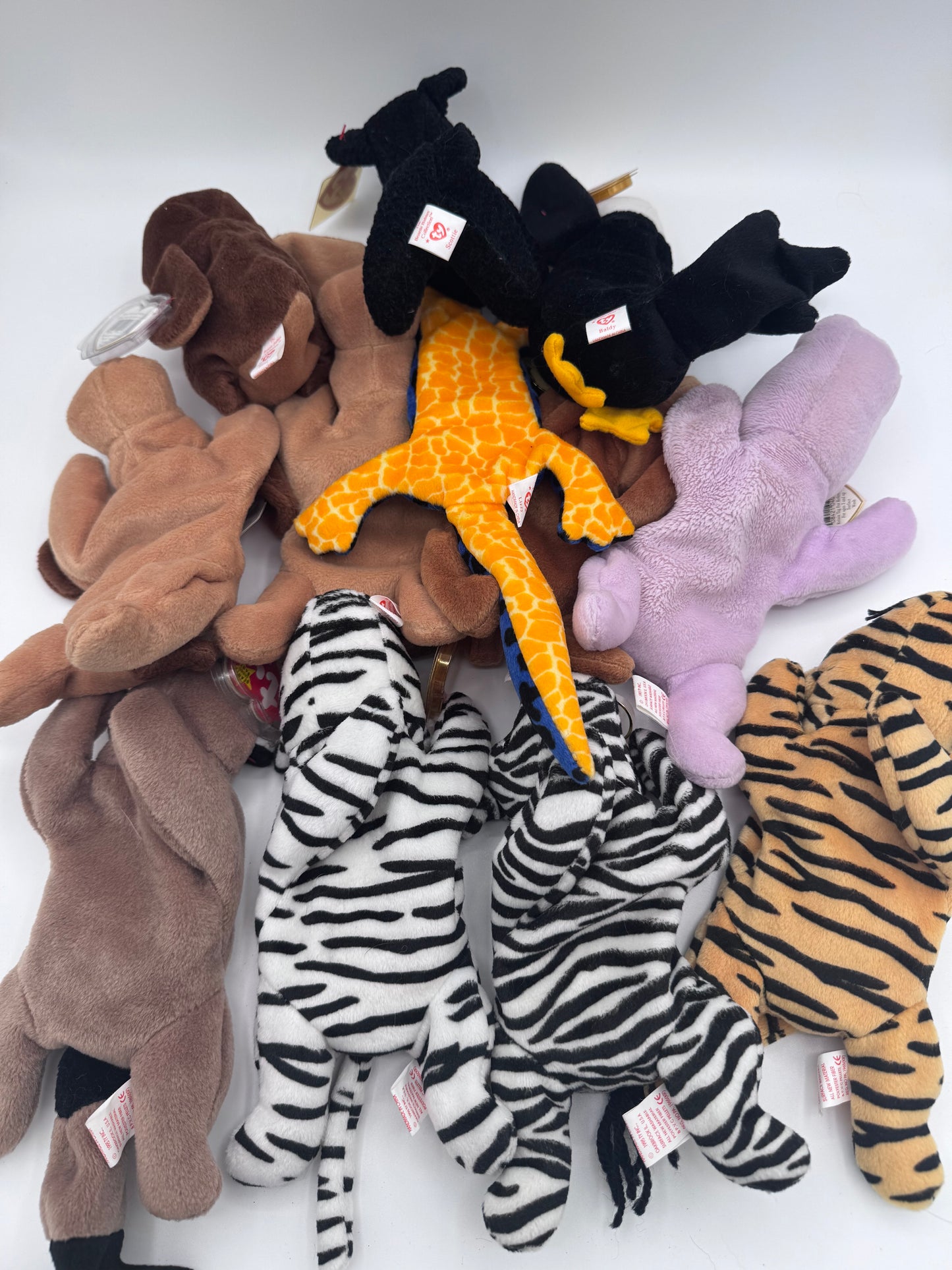 Beanie Babies TY-Hang Tag 4th Gen & Tush Tag 4th Gen Set of 12 Babies