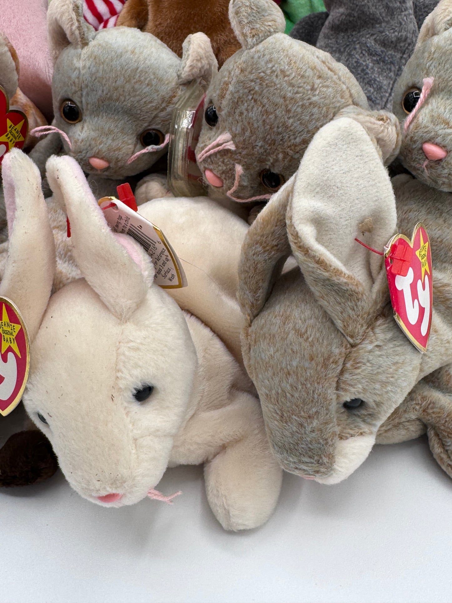 Beanie Babies TY-Hang Tag 5th Gen & Tush Tag 7th Gen Set of 15 babies