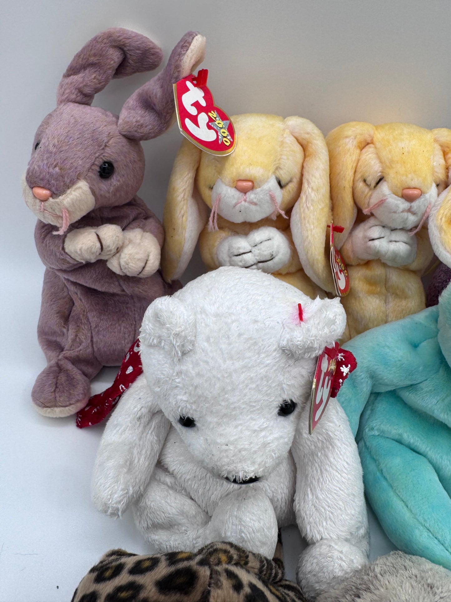 Beanie Babies TY-Hang Tag 6th Gen & Tush Tag 9th Gen Set of 13