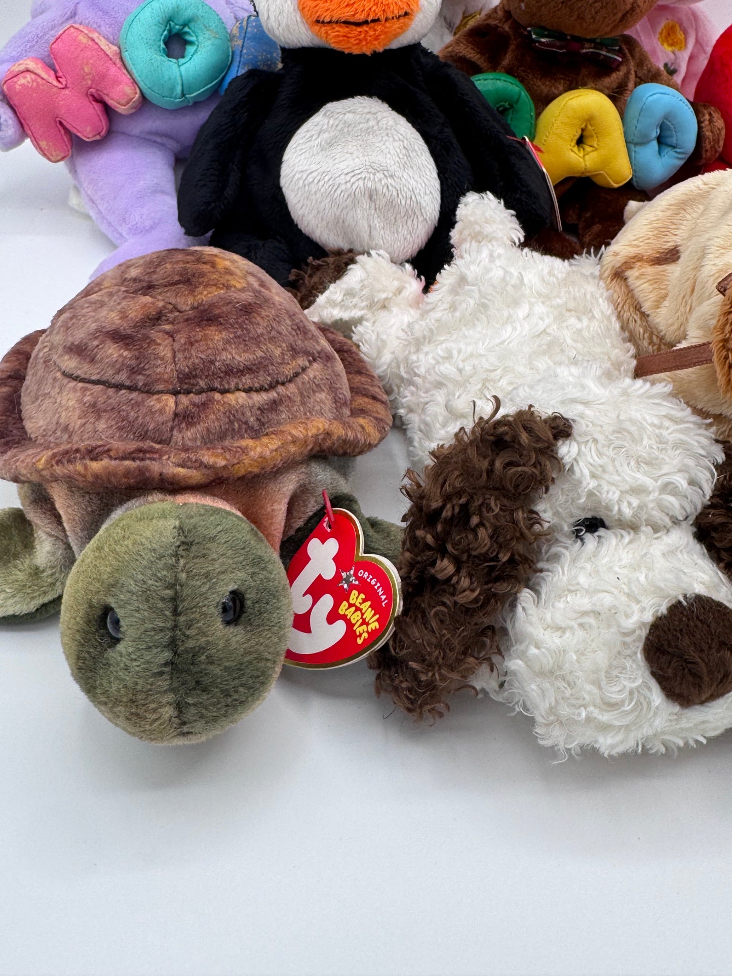 Beanie Babies TY - Hang Tag 13th Gen & Tush Tag 13th Gen Set of 11 Babies