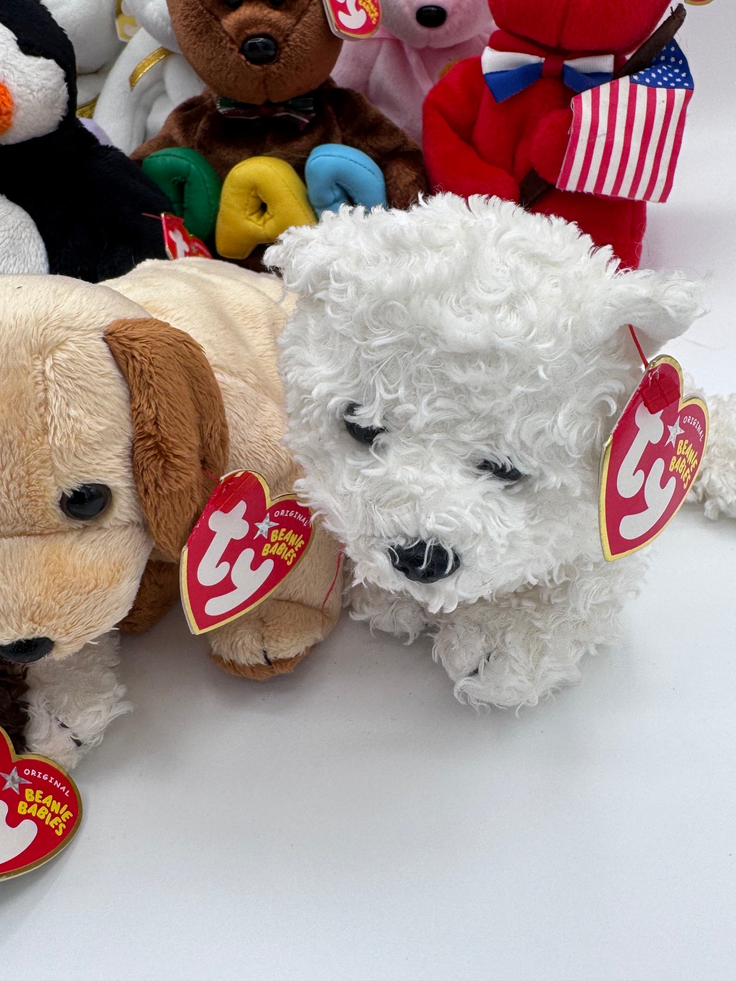 Beanie Babies TY - Hang Tag 13th Gen & Tush Tag 13th Gen Set of 11 Babies