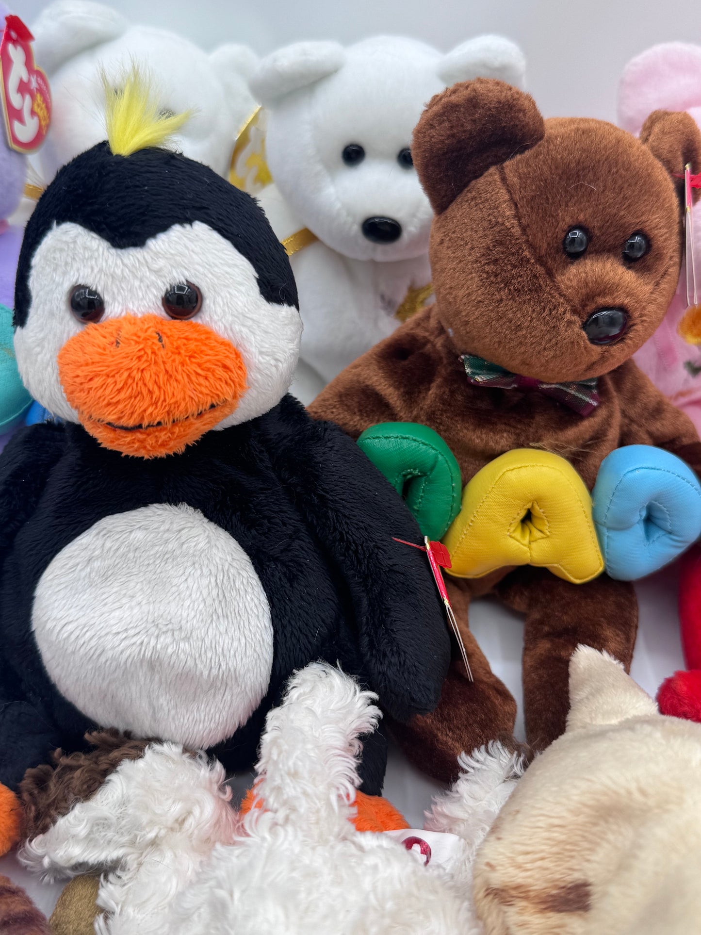 Beanie Babies TY - Hang Tag 13th Gen & Tush Tag 13th Gen Set of 11 Babies