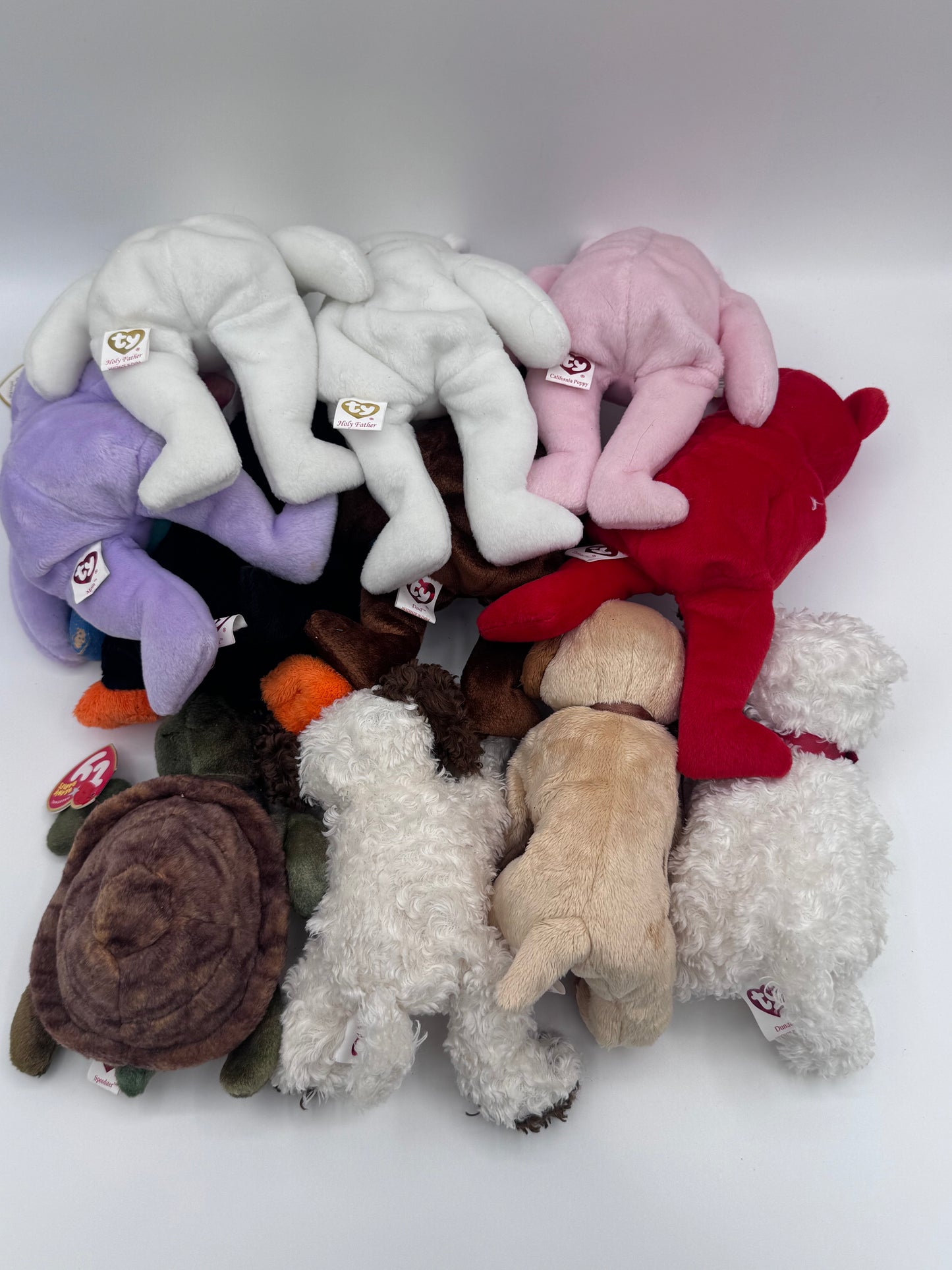 Beanie Babies TY - Hang Tag 13th Gen & Tush Tag 13th Gen Set of 11 Babies