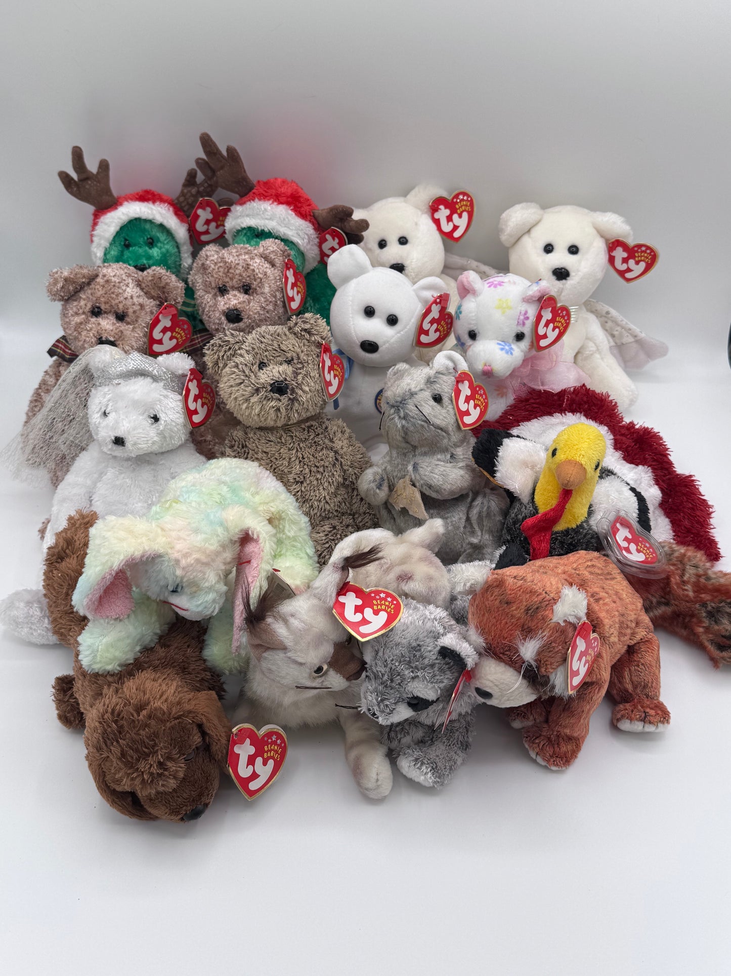 Beanie Babies TY -Hang Tag 10th Gen & Tush Tag 11th Gen Set of 17 Babies