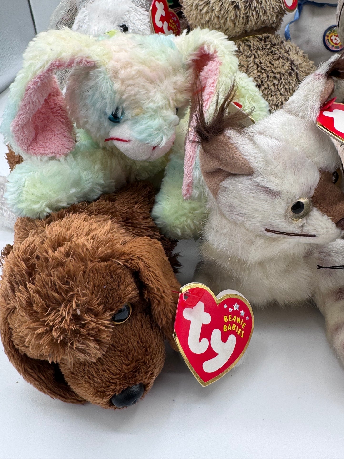 Beanie Babies TY -Hang Tag 10th Gen & Tush Tag 11th Gen Set of 17 Babies