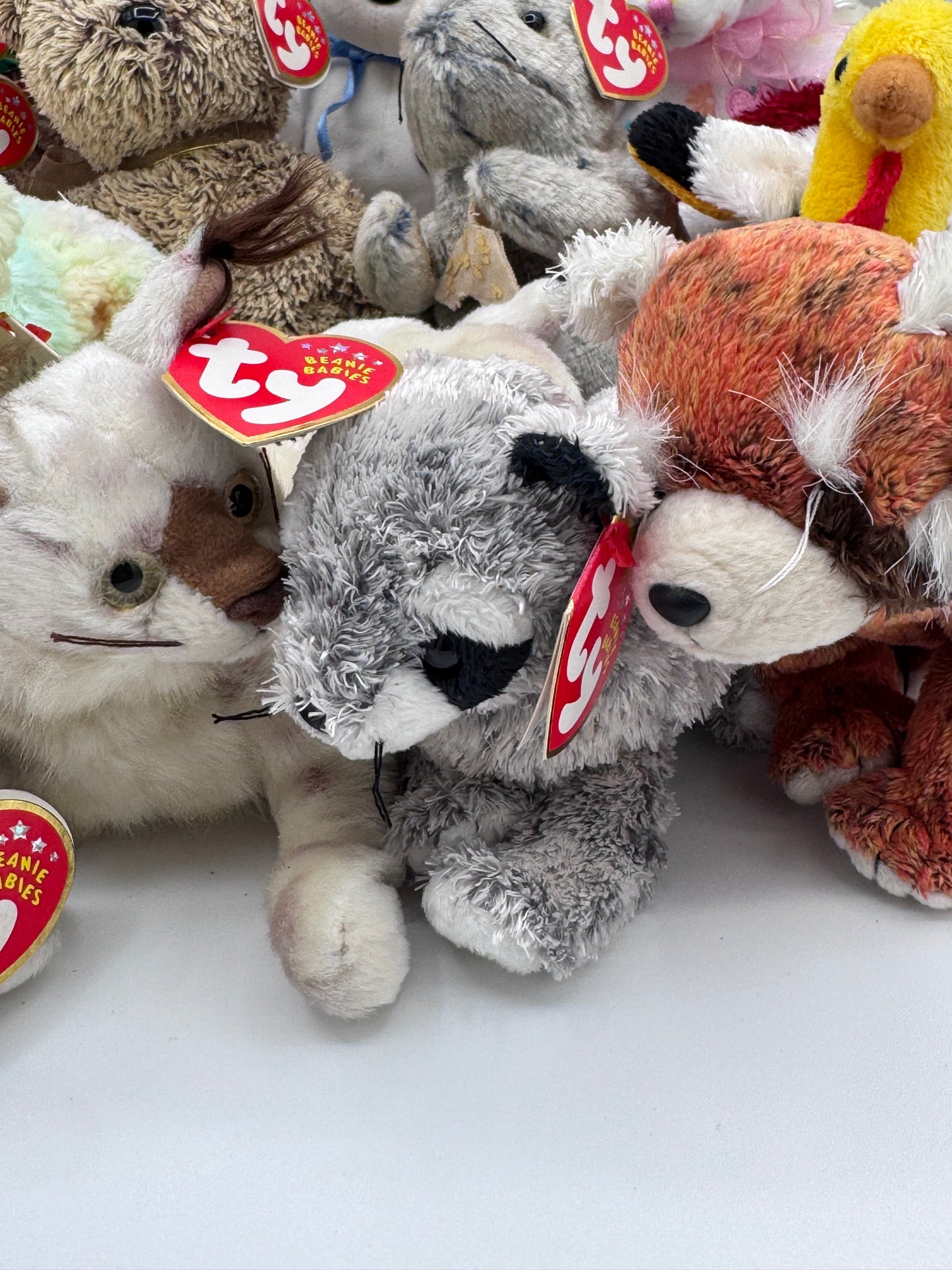 Beanie Babies TY -Hang Tag 10th Gen & Tush Tag 11th Gen Set of 17 Babies