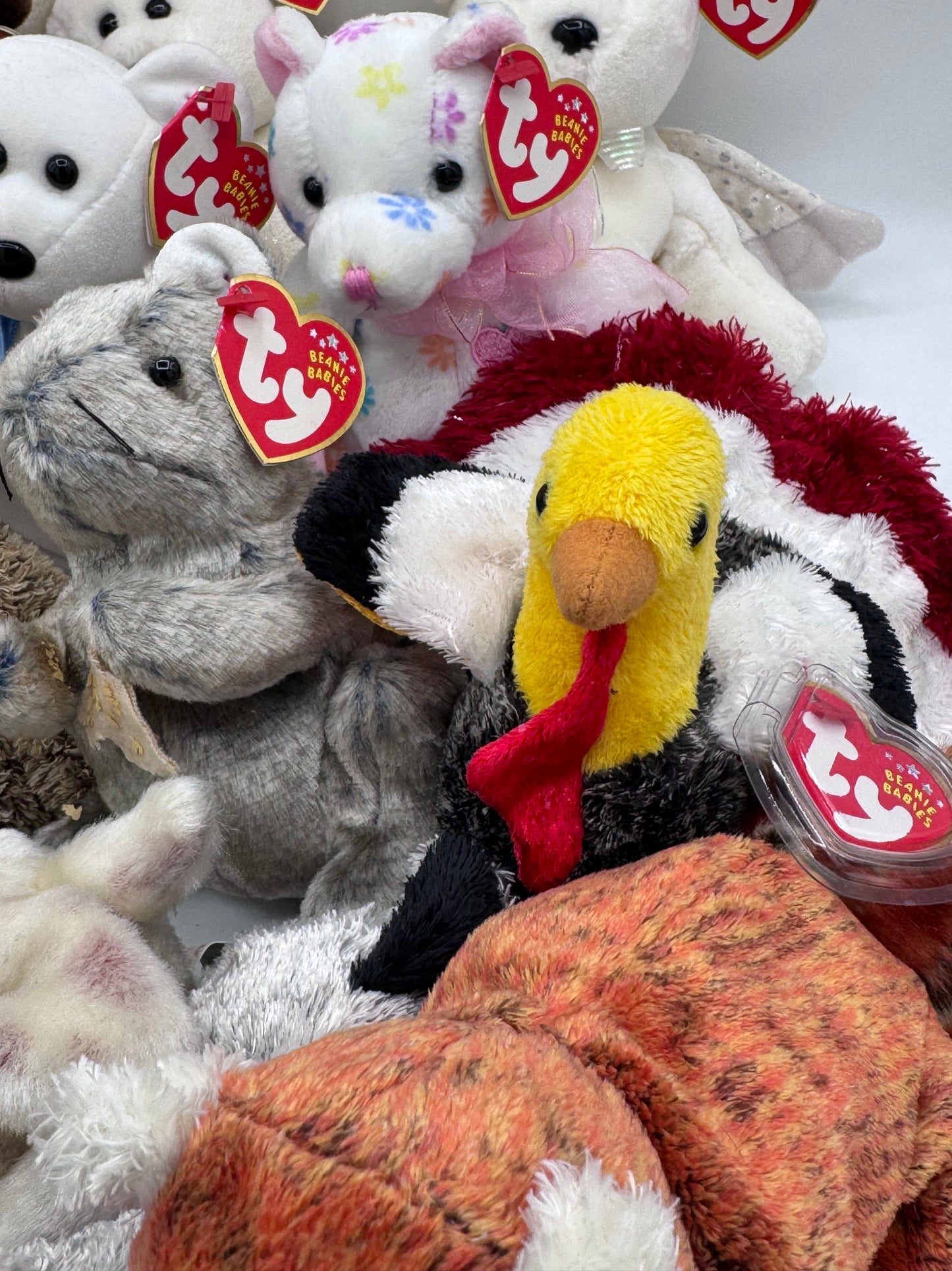 Beanie Babies TY -Hang Tag 10th Gen & Tush Tag 11th Gen Set of 17 Babies
